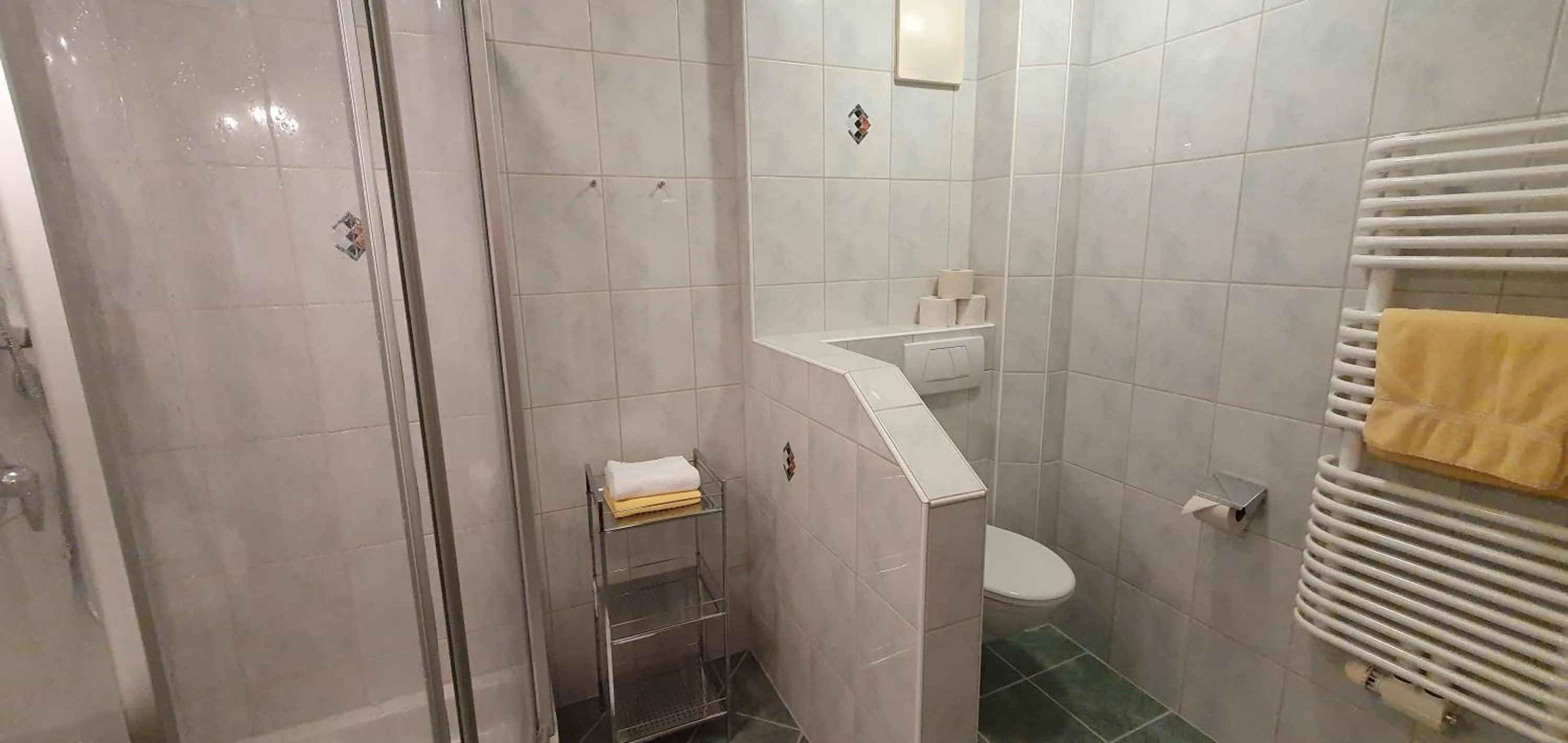 Bathroom in Hotel Moser