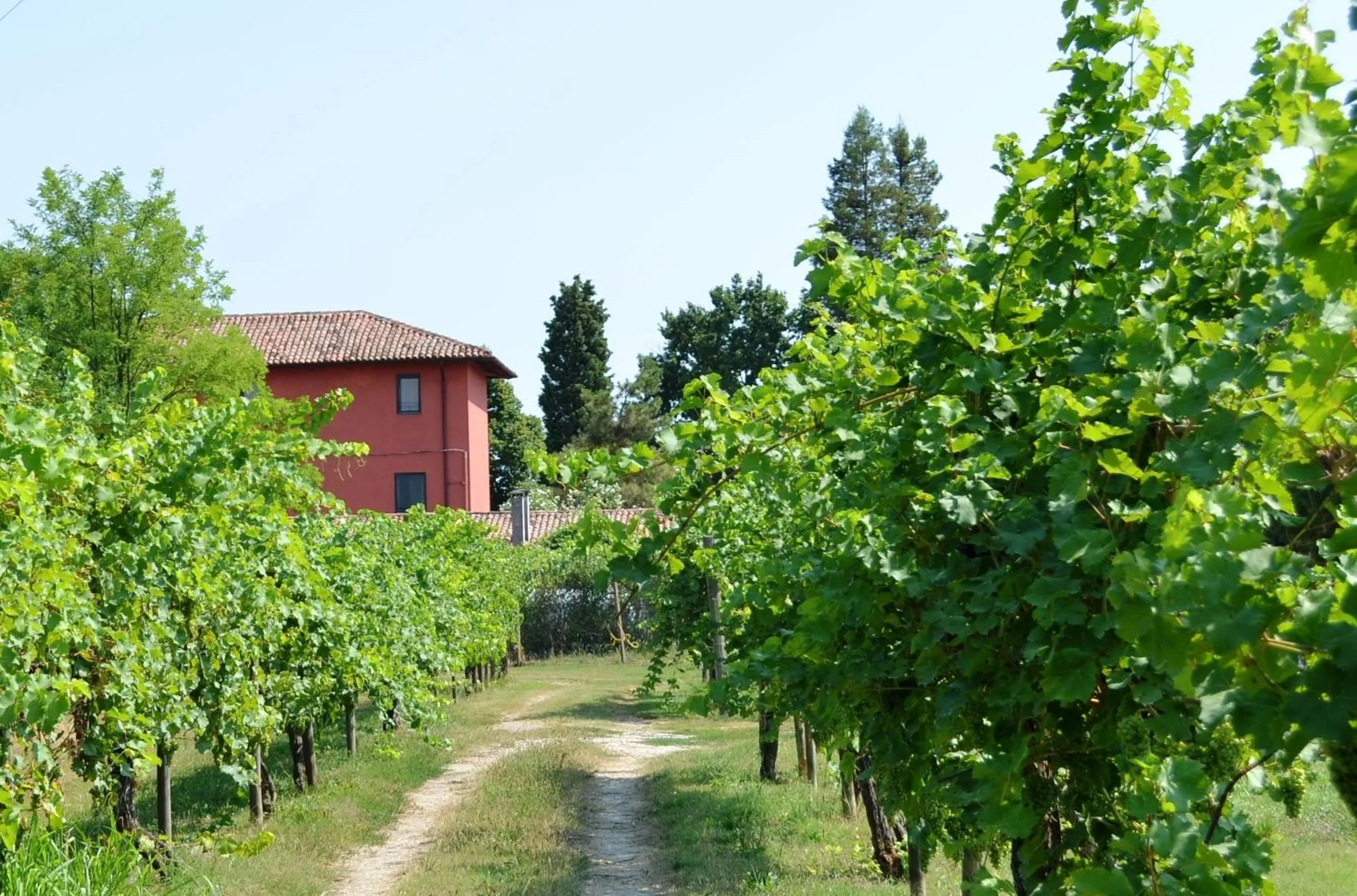 View (from property/room) in Agriturismo Isola Augusta