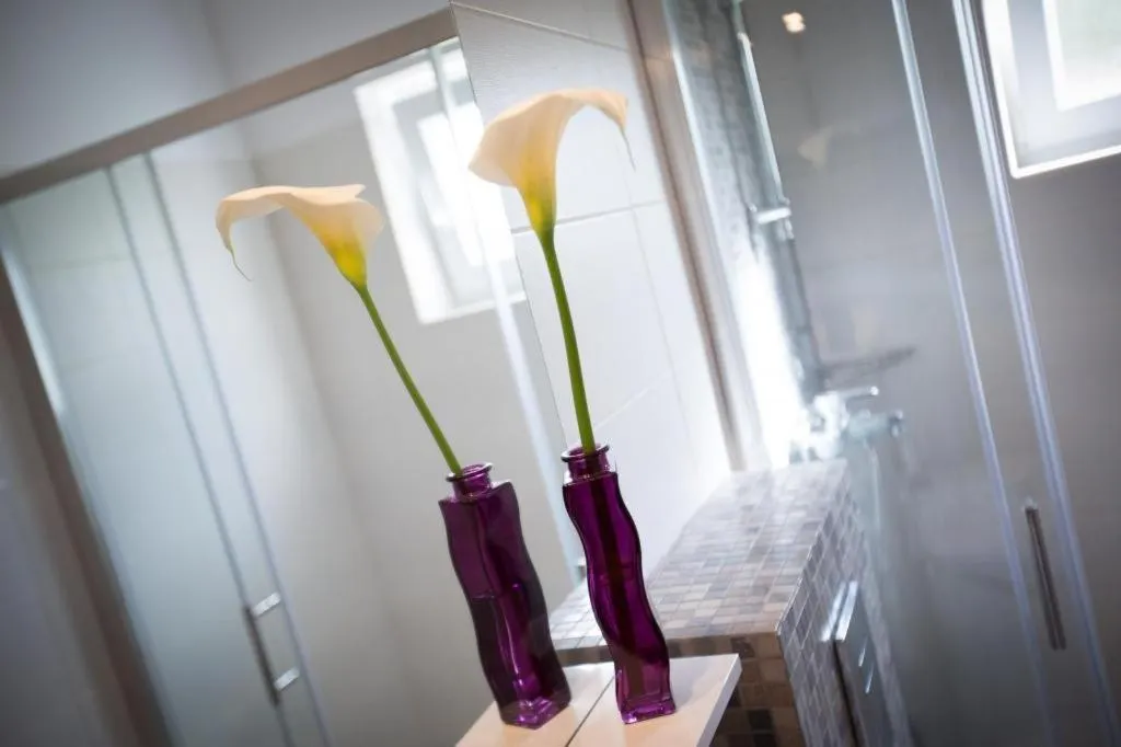 Other in Apartments Villa Roza