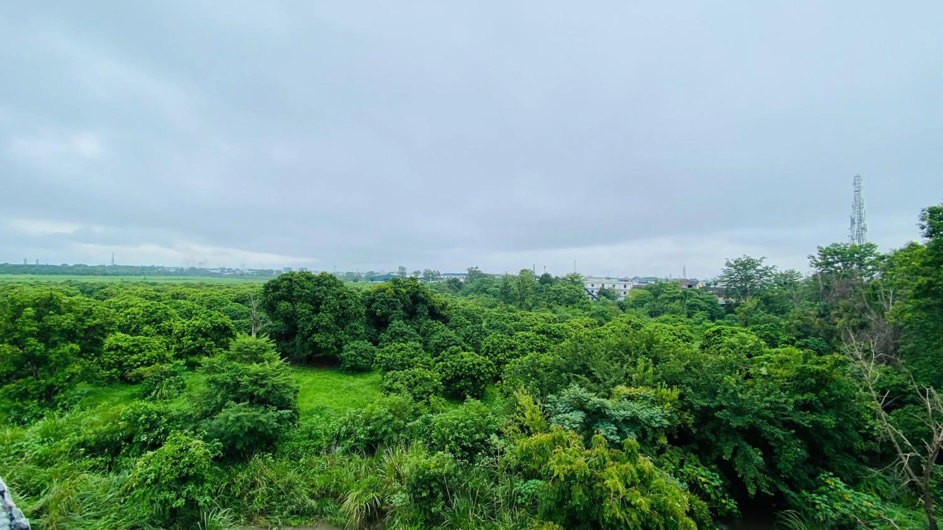 View (from property/room) in LivBox