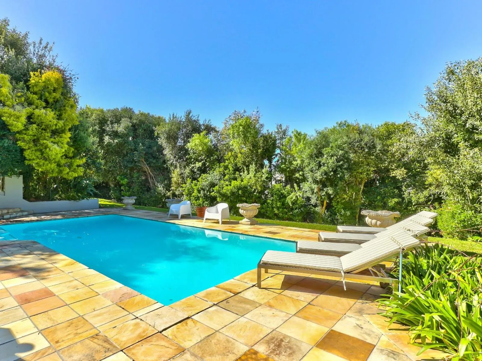 Swimming pool in Devonport House - Constantia