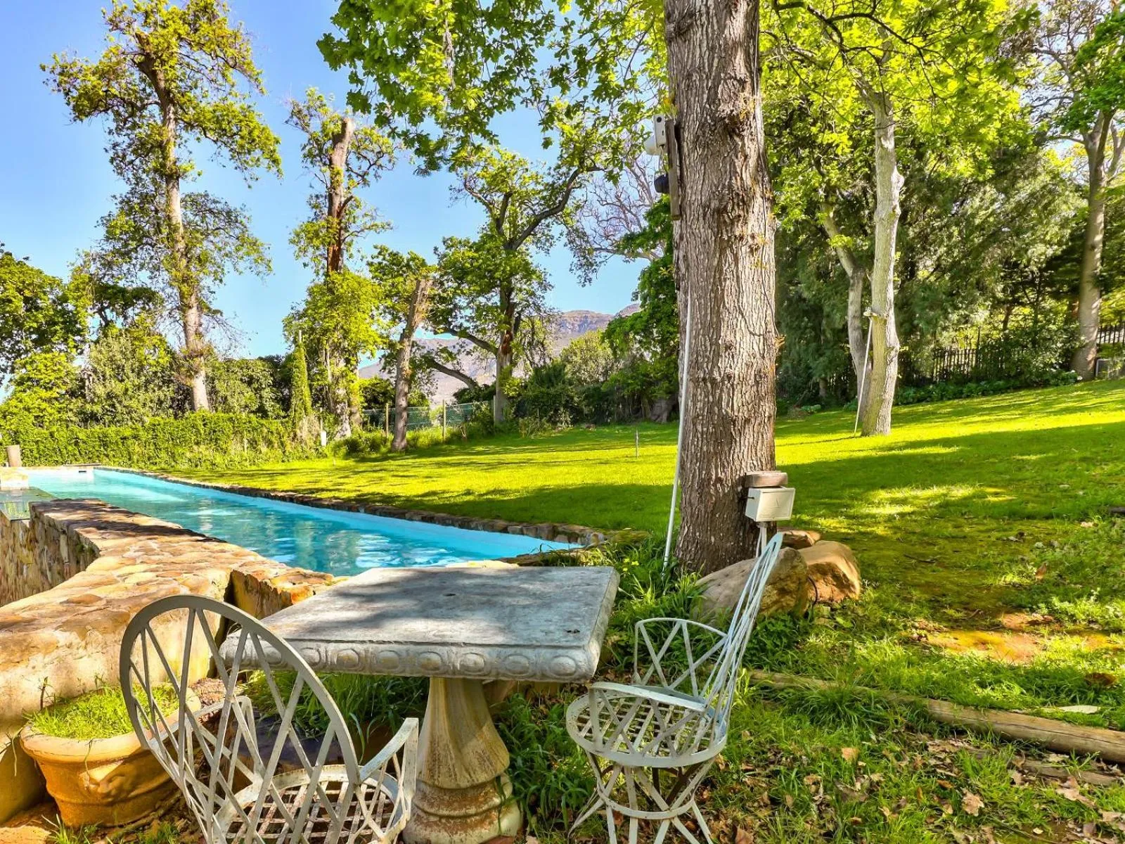 Swimming pool in Devonport House - Constantia