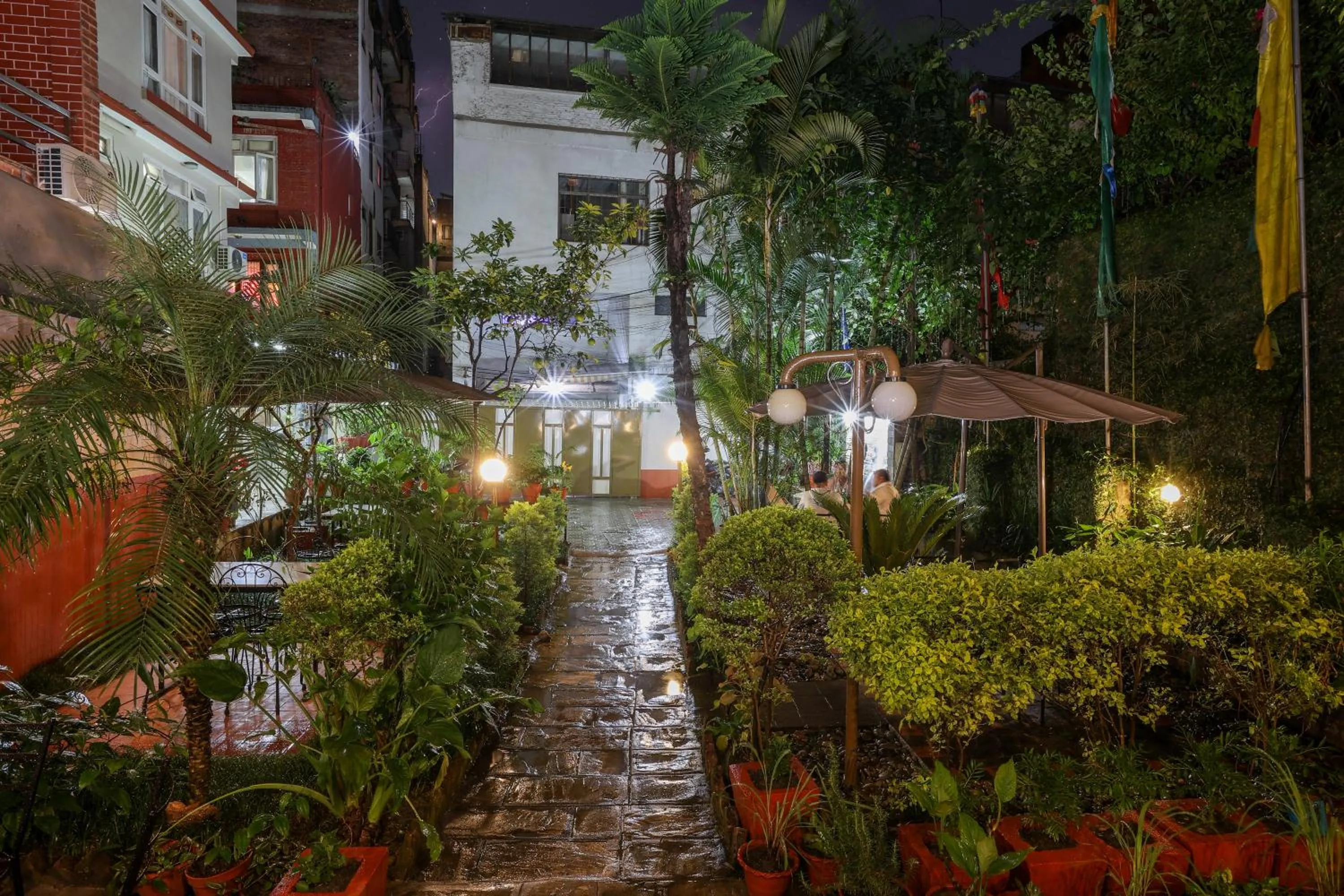 Garden in Hotel Sekai
