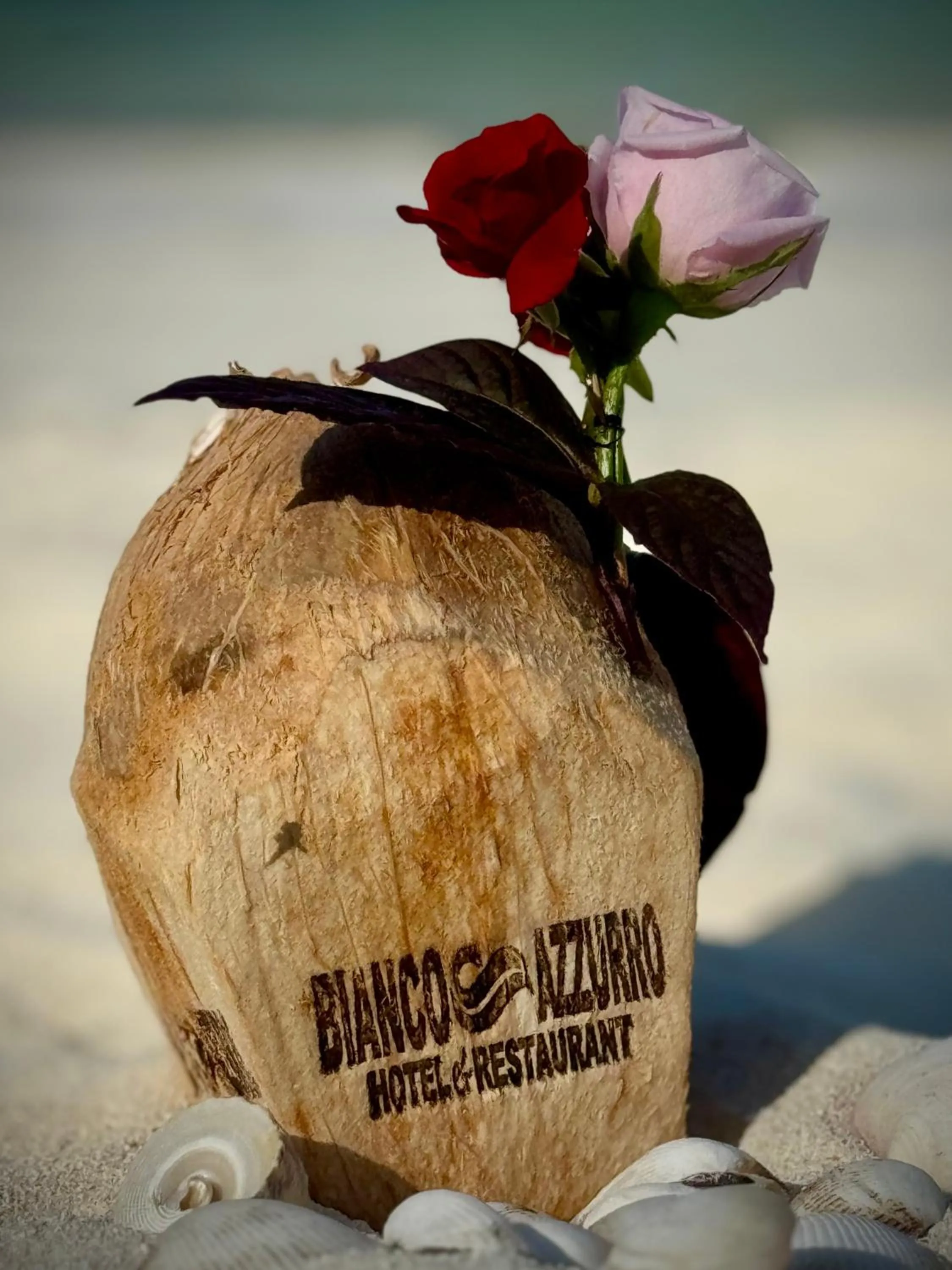 BIANCO AZZURRO Hotel & Restaurant