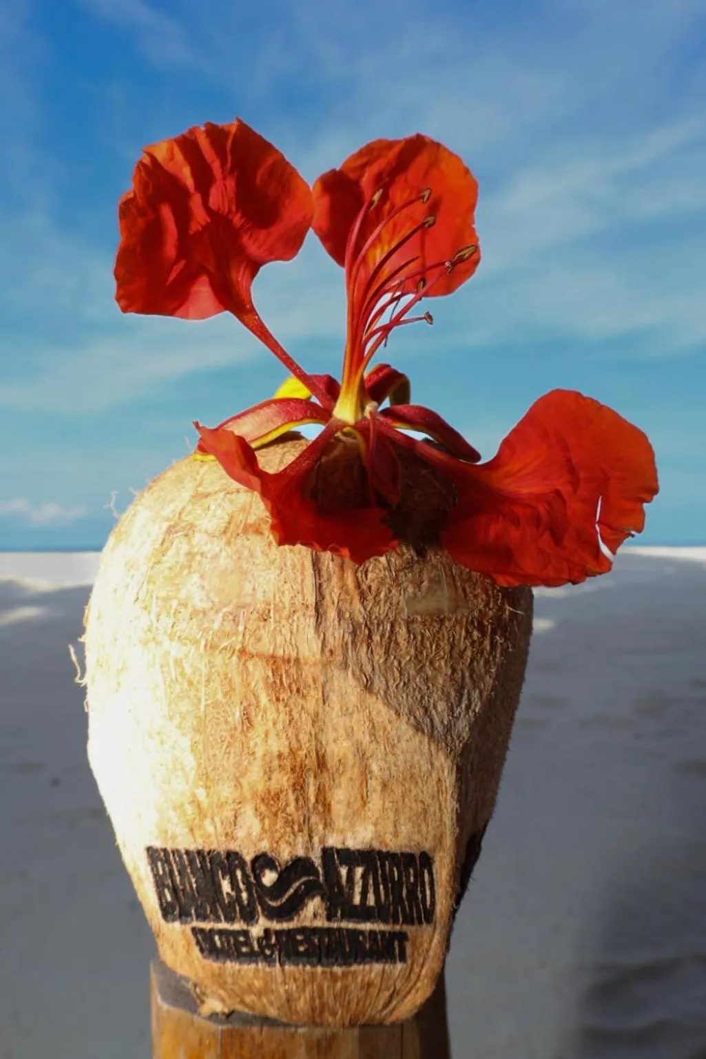 BIANCO AZZURRO Hotel & Restaurant