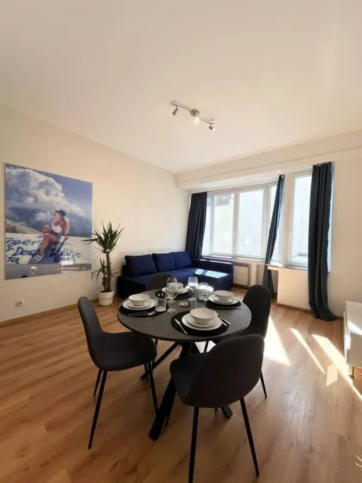 Amazing flat-Center of Brussels