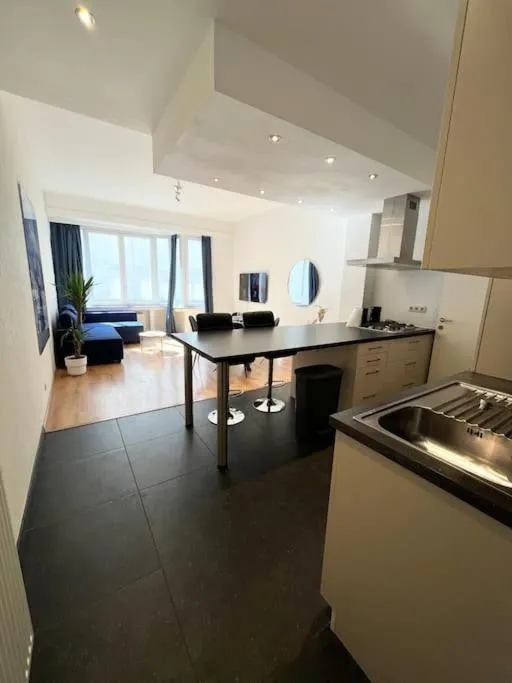 Amazing flat-Center of Brussels