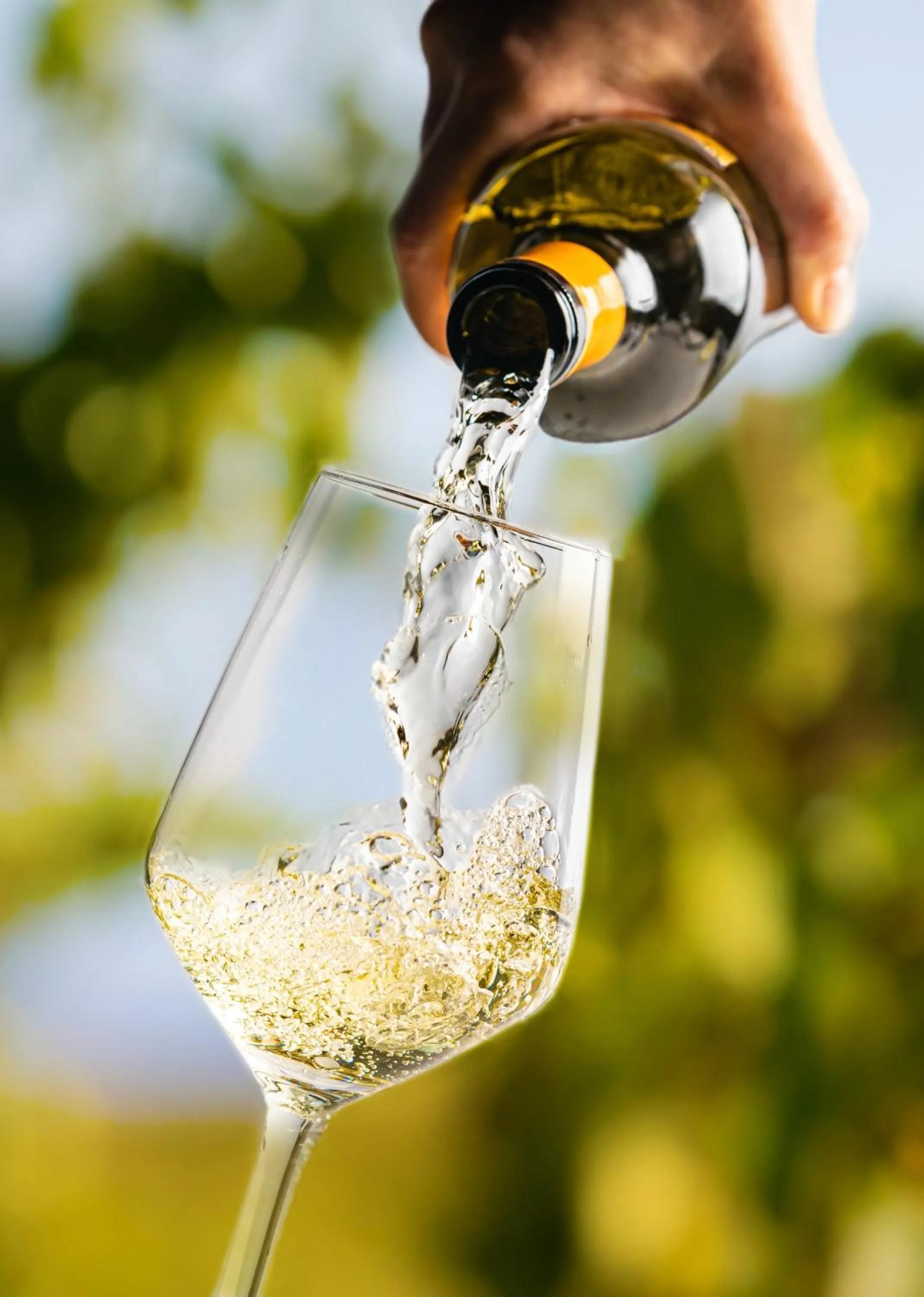 Lounge or bar in Meeting House Boutique Hotel