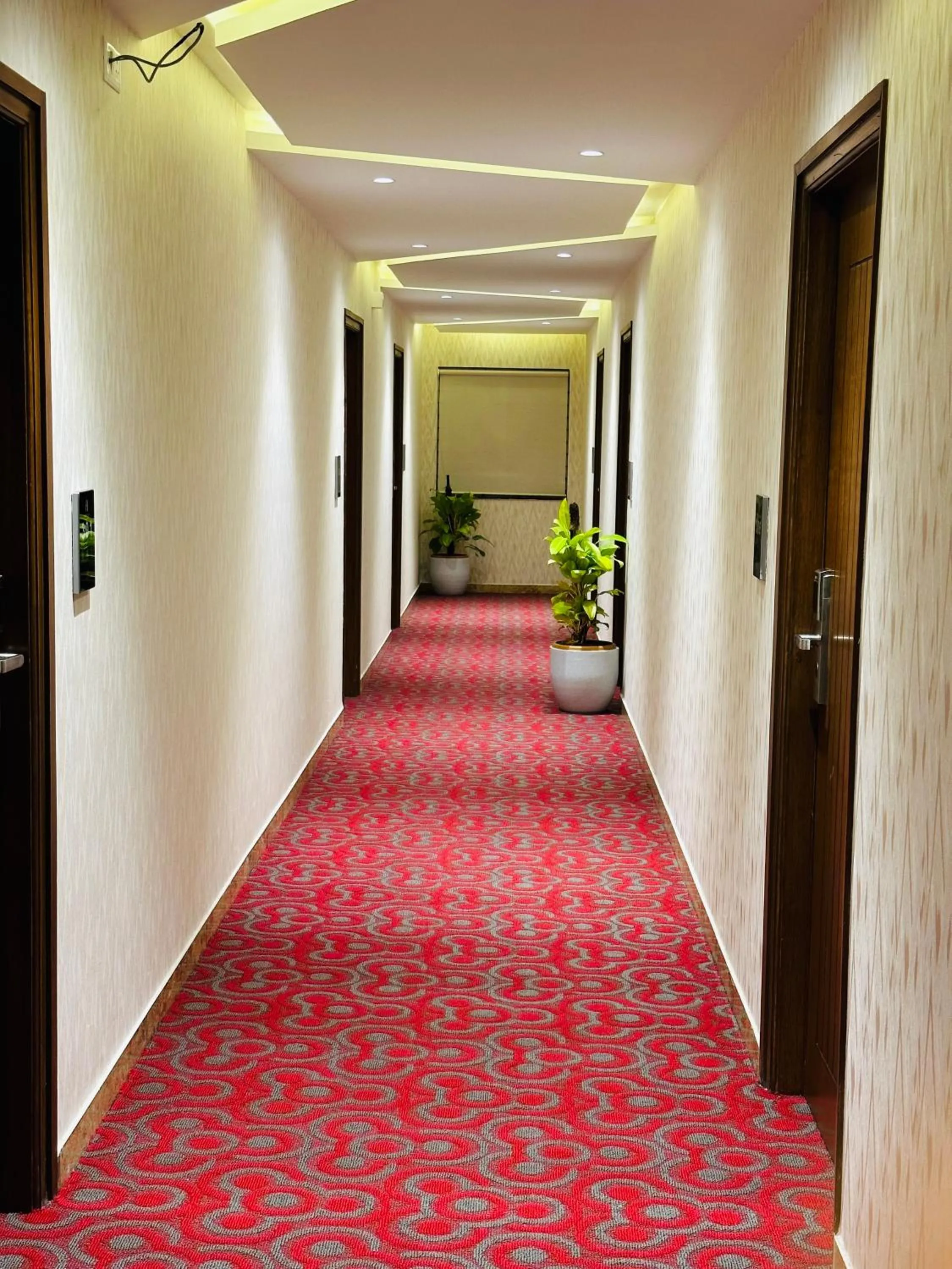 Garden in ROYAL ACE LUXUR