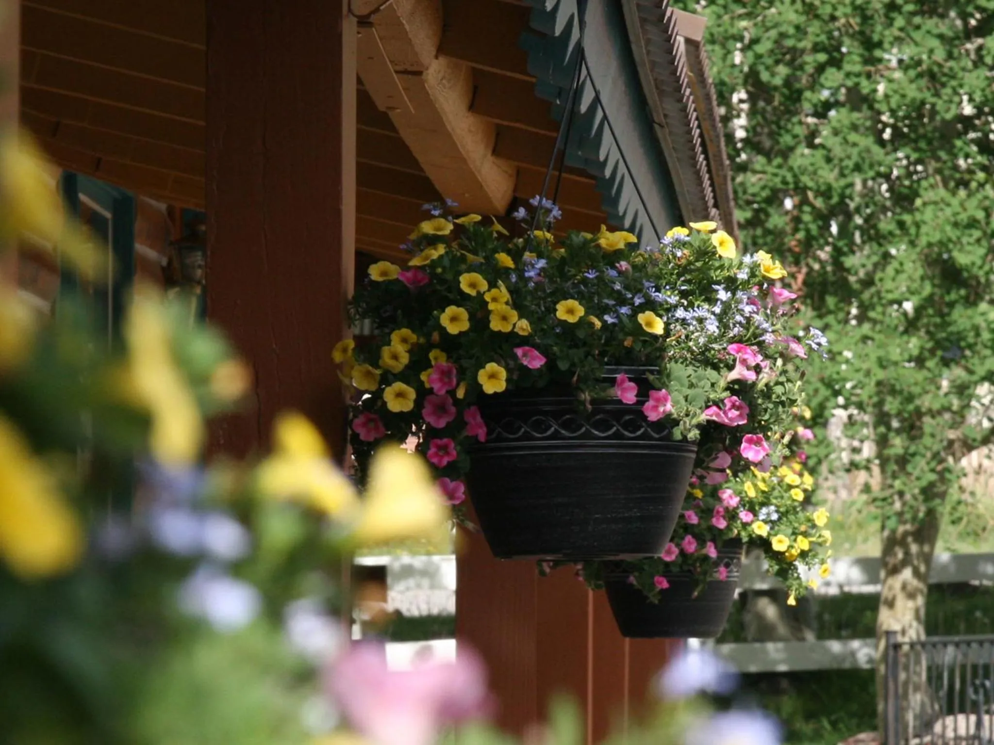 Summer in Ouray Inn