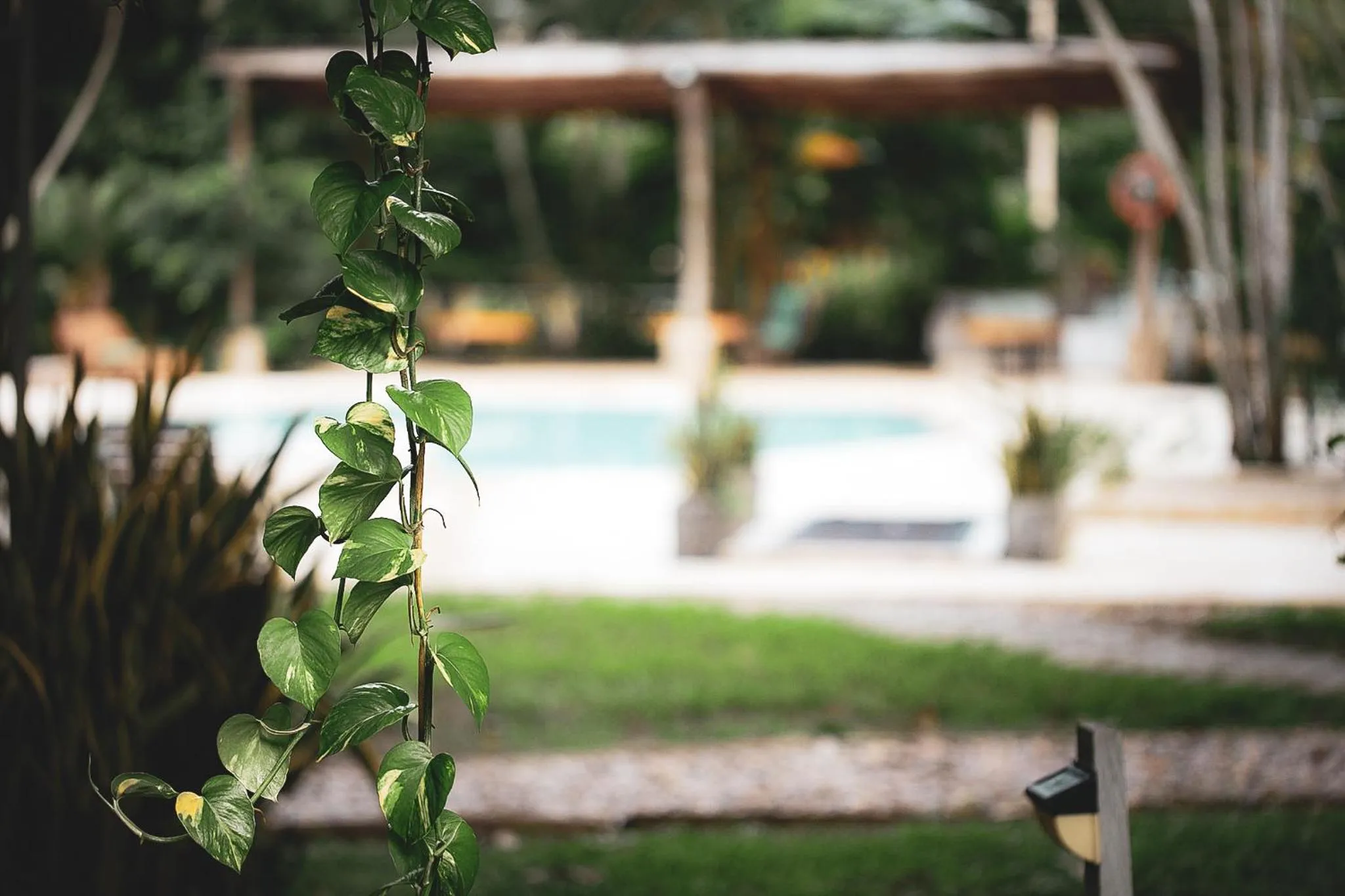 Garden in Waka Hotel Rural