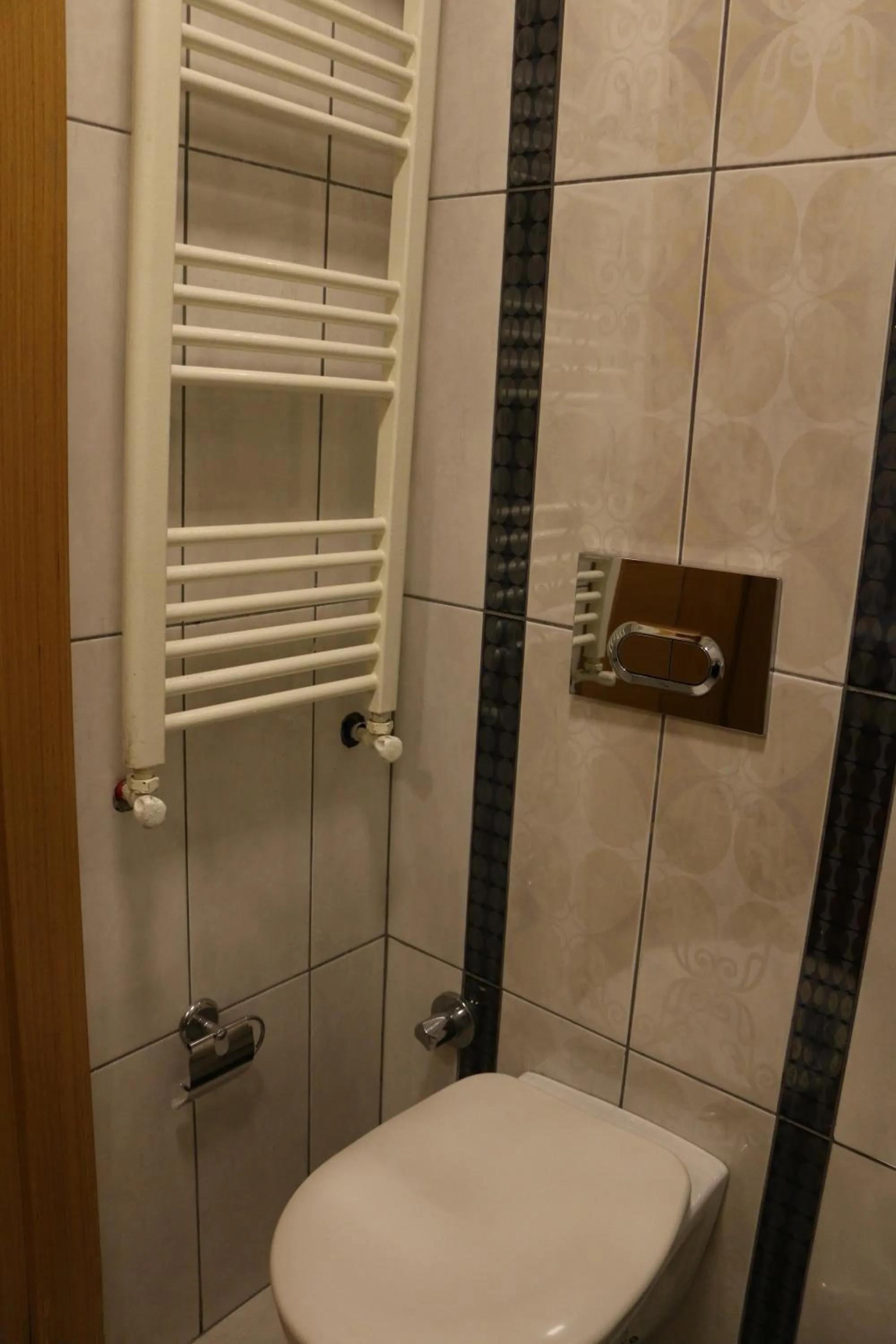 Toilet in THE MOST HOTEL