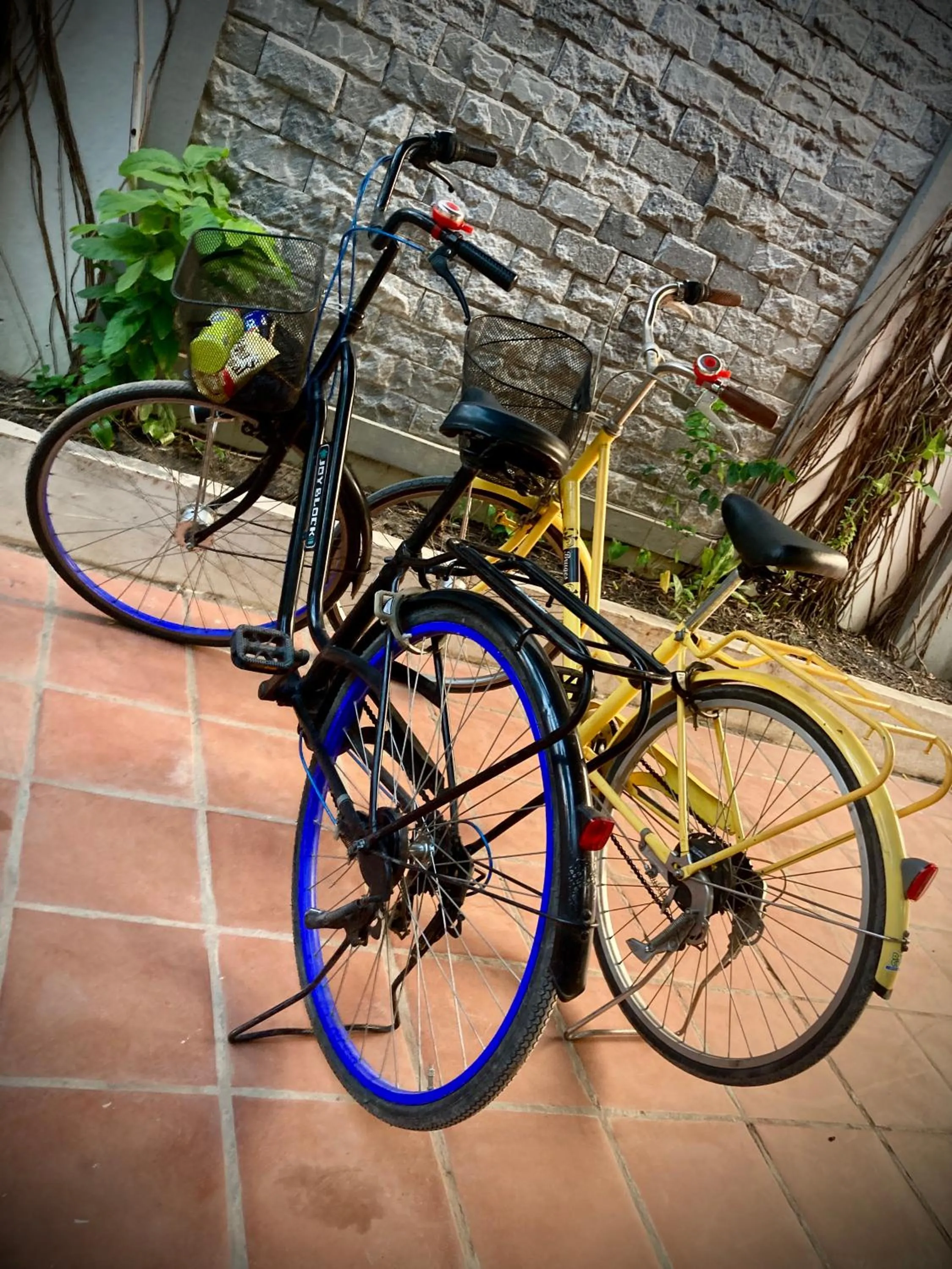 Activities in Lotus Haven Villa