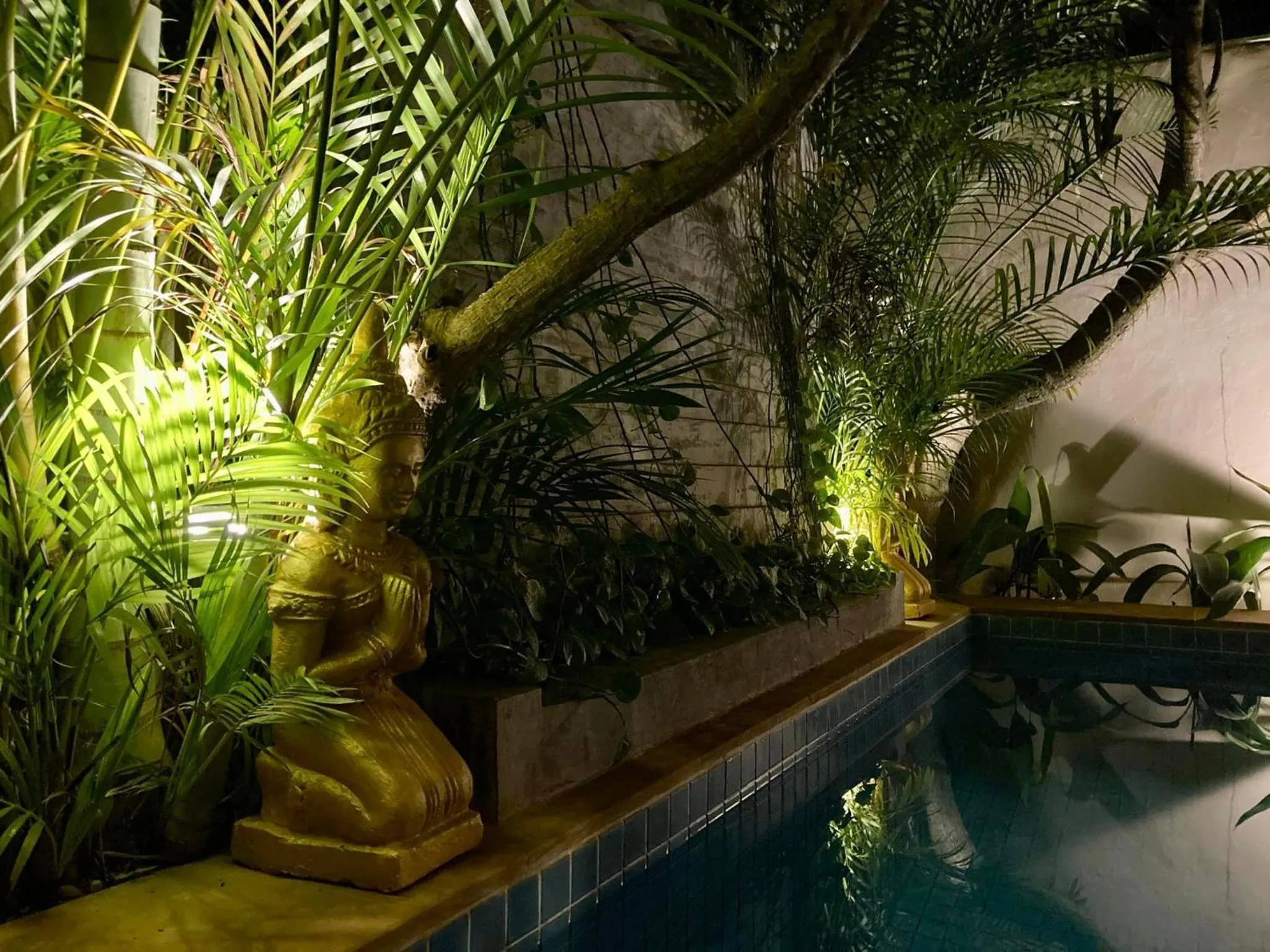 Garden in Lotus Haven Villa