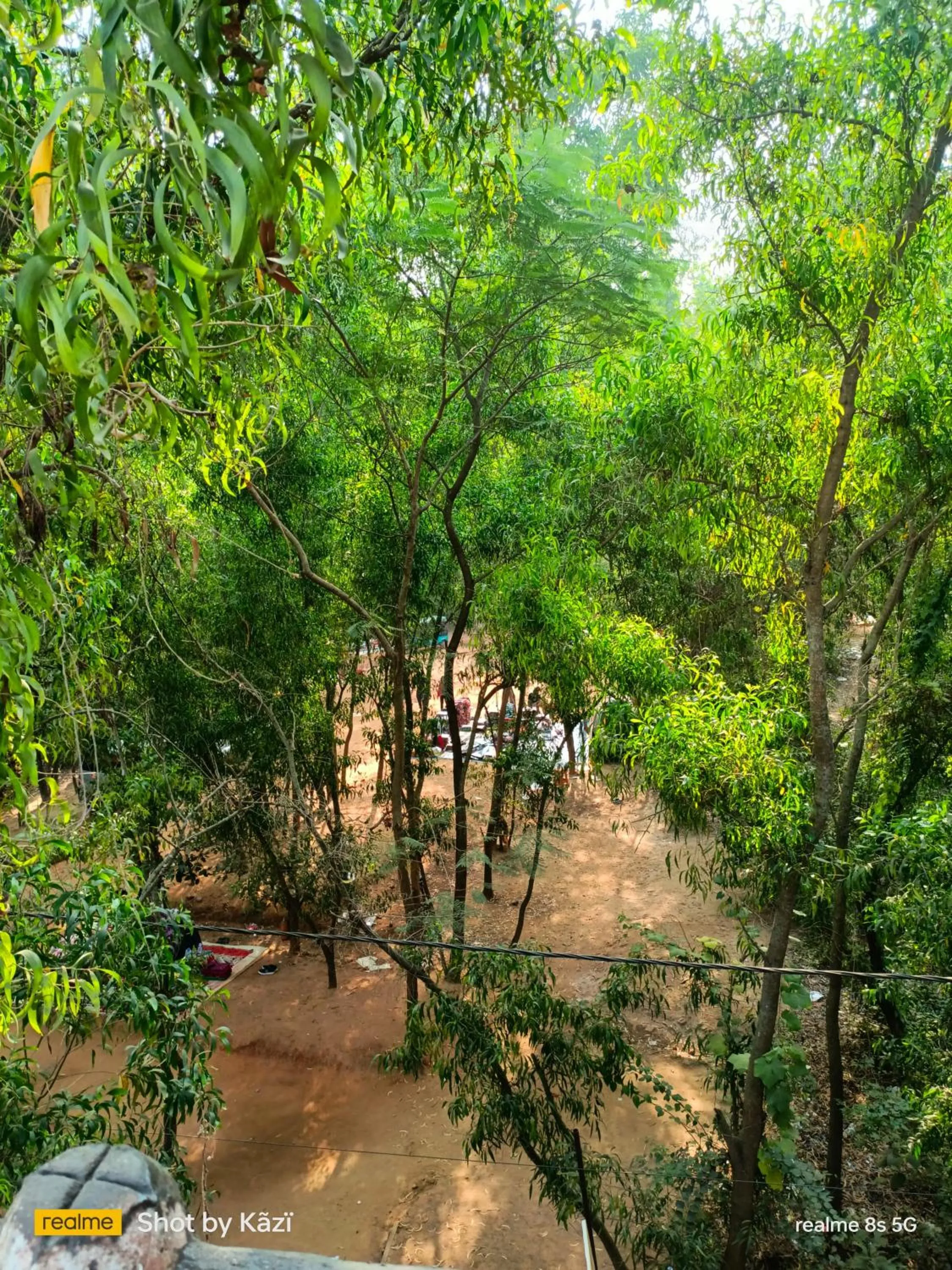Natural landscape in Ram Shyam Village Resort