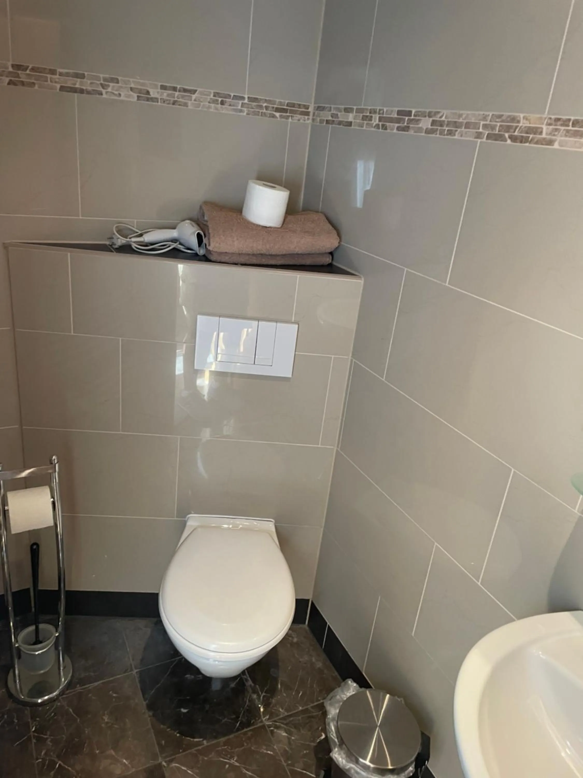 Toilet in Hotel Klement