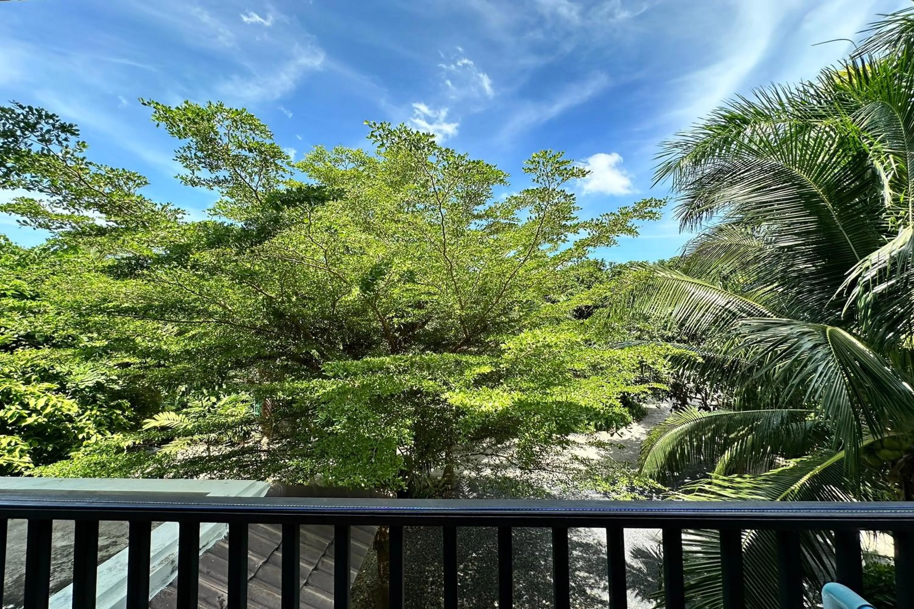 Balcony/Terrace in Choengmon Residence