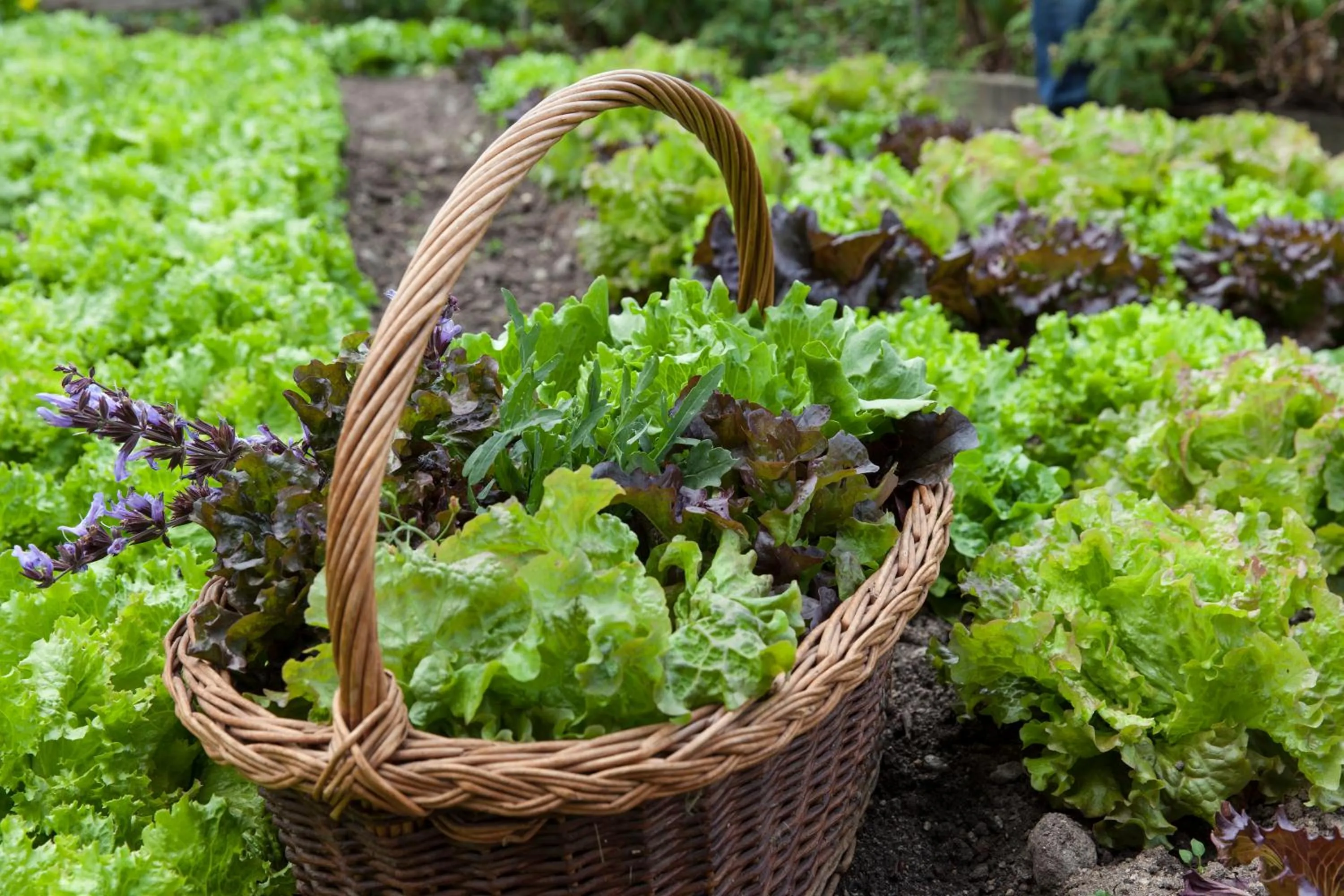 Day in Hotel Bacherhof