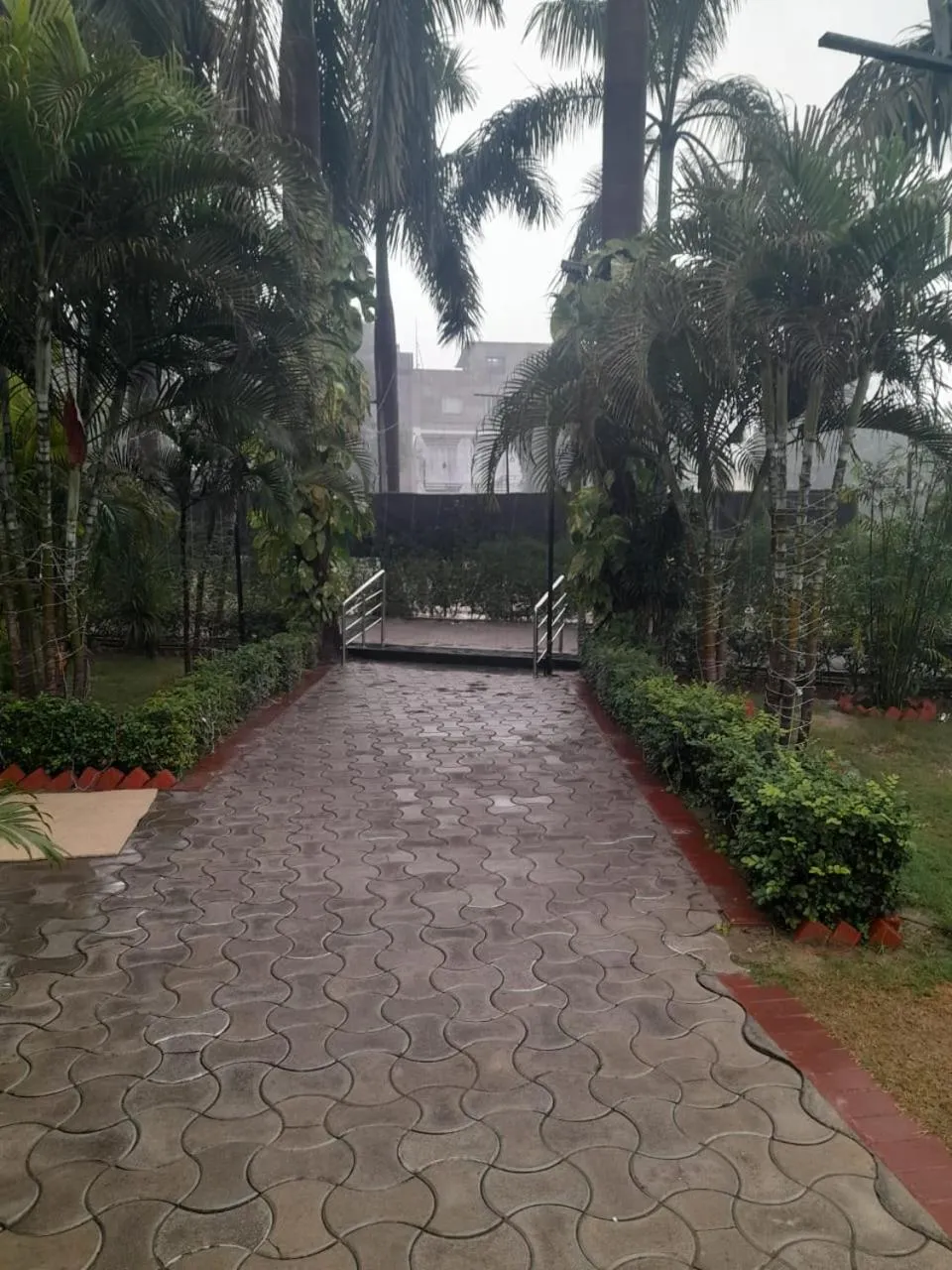 Natural landscape in Chinmay Hotel & Resort