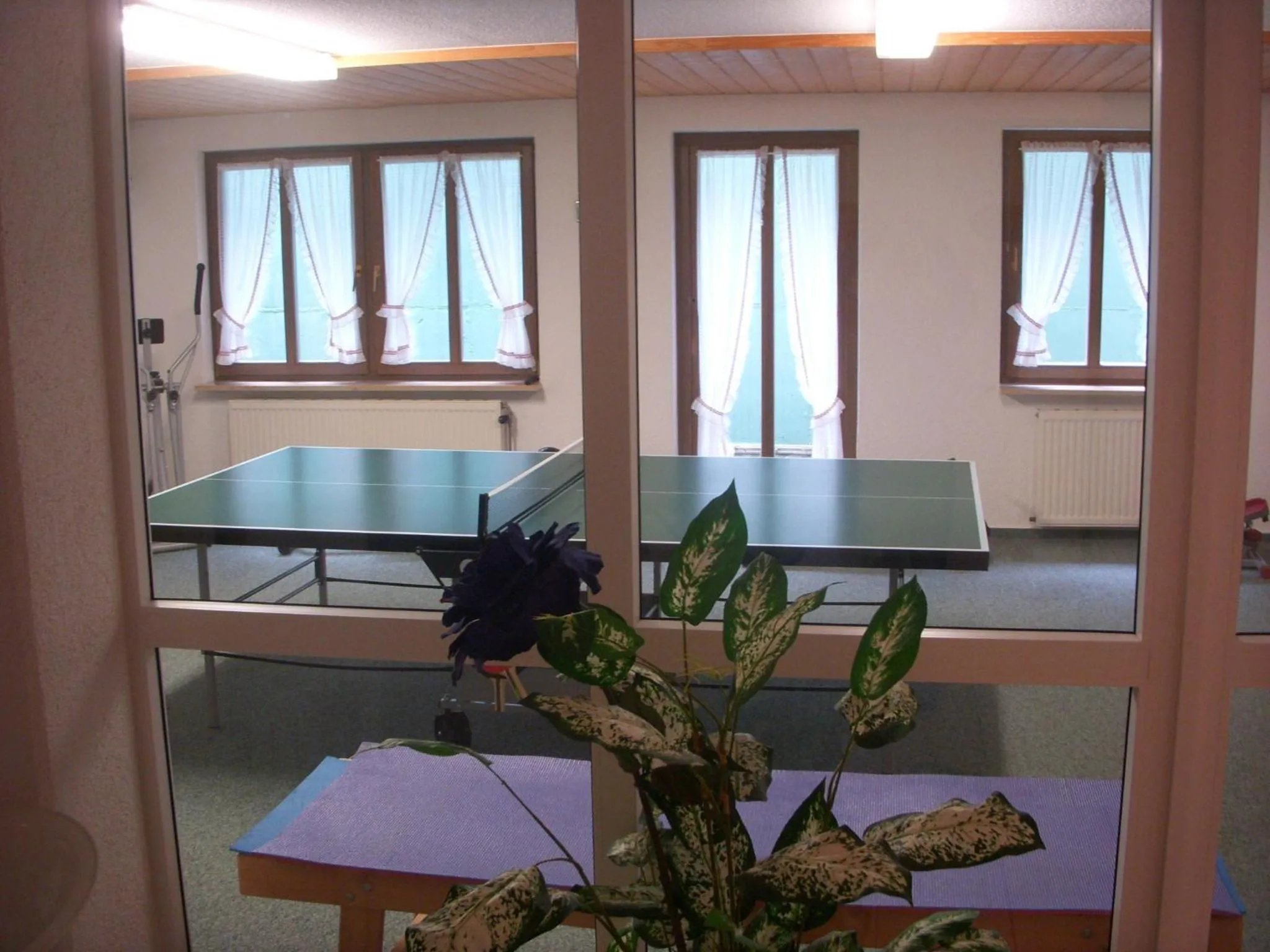 Table tennis in Ferienwohnungen Kupferkanne