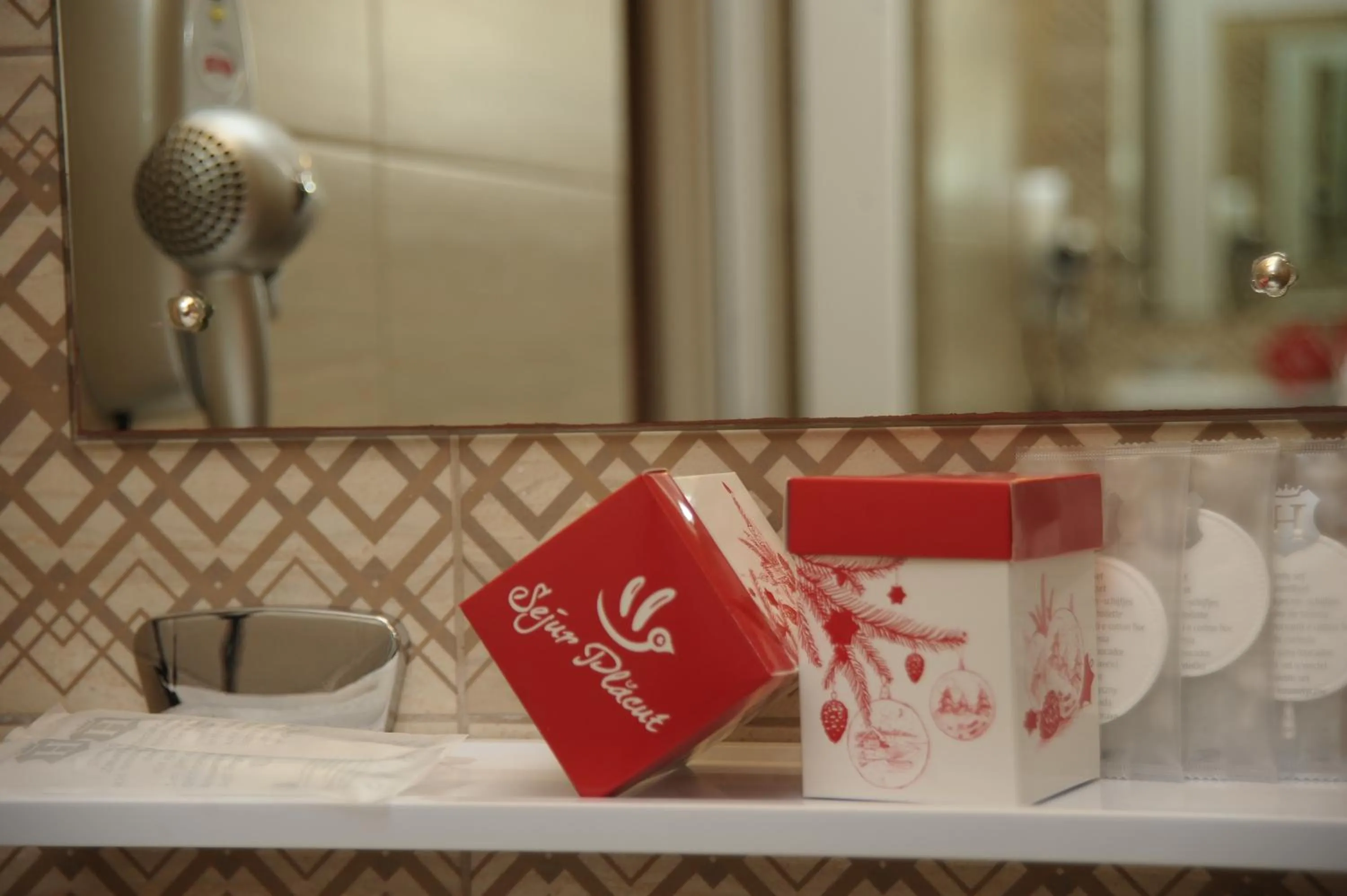 Shower in Hotel Pinguin