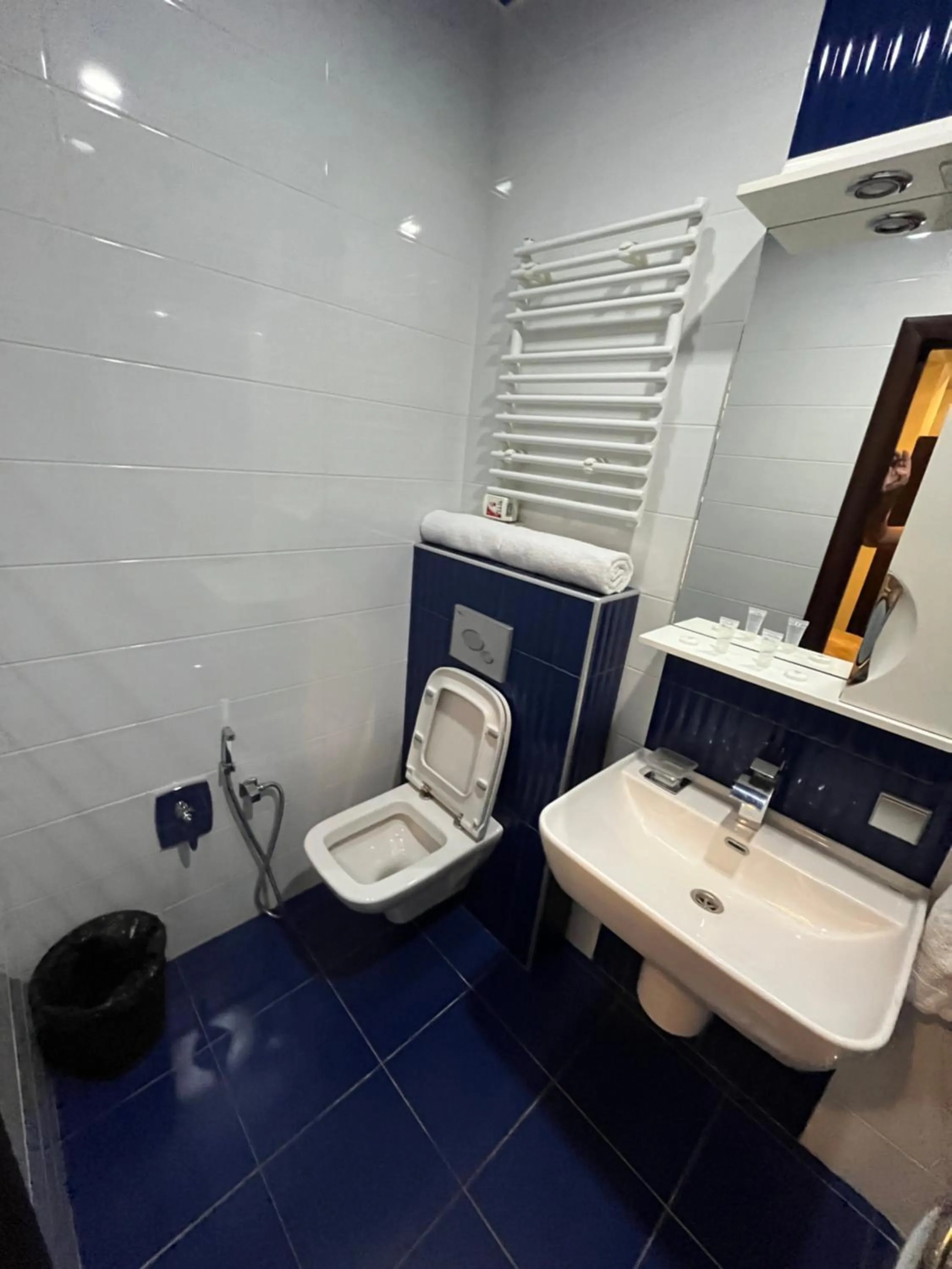 Toilet in HOTEL NEW ROYAL