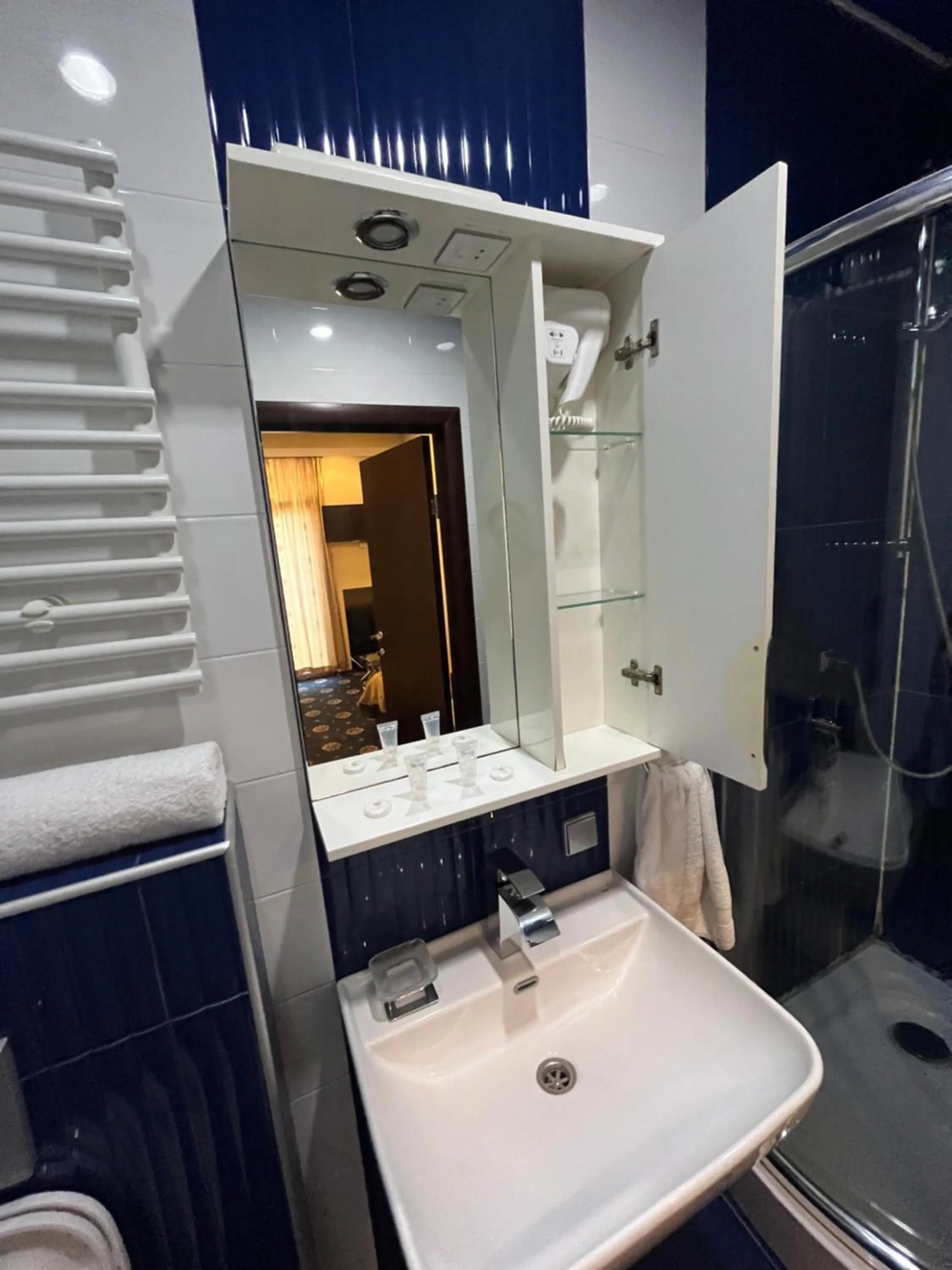 Shower in HOTEL NEW ROYAL