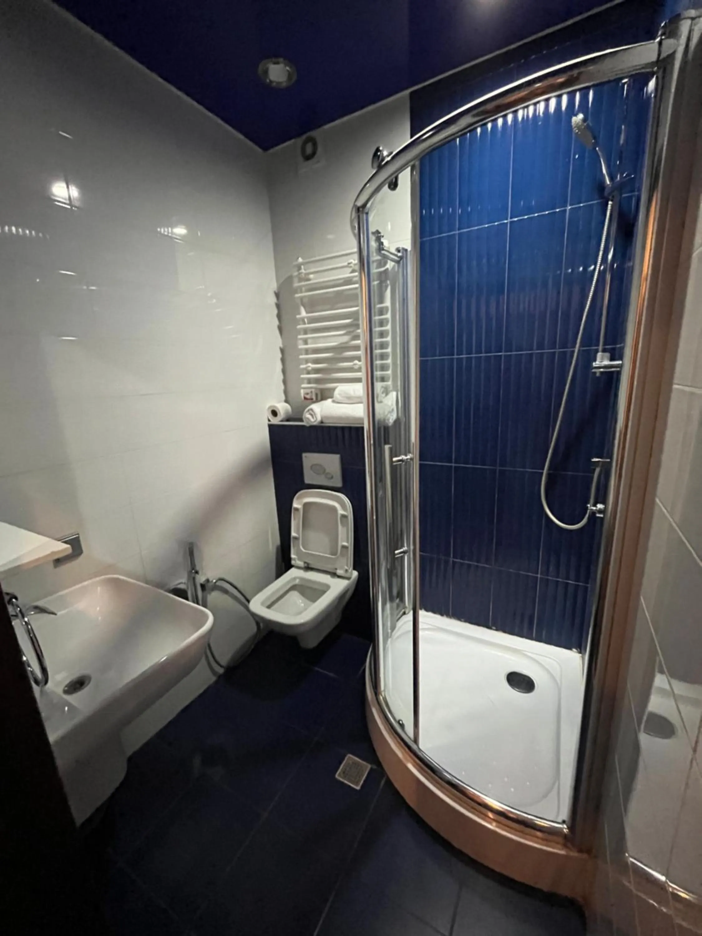 Shower in HOTEL NEW ROYAL