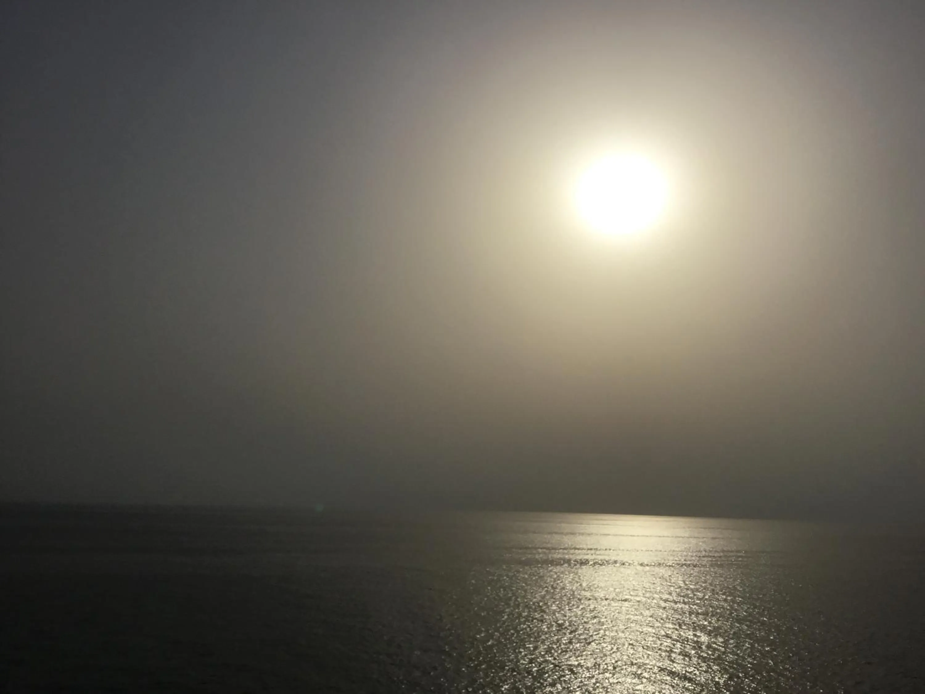 Spring in The Danescourt