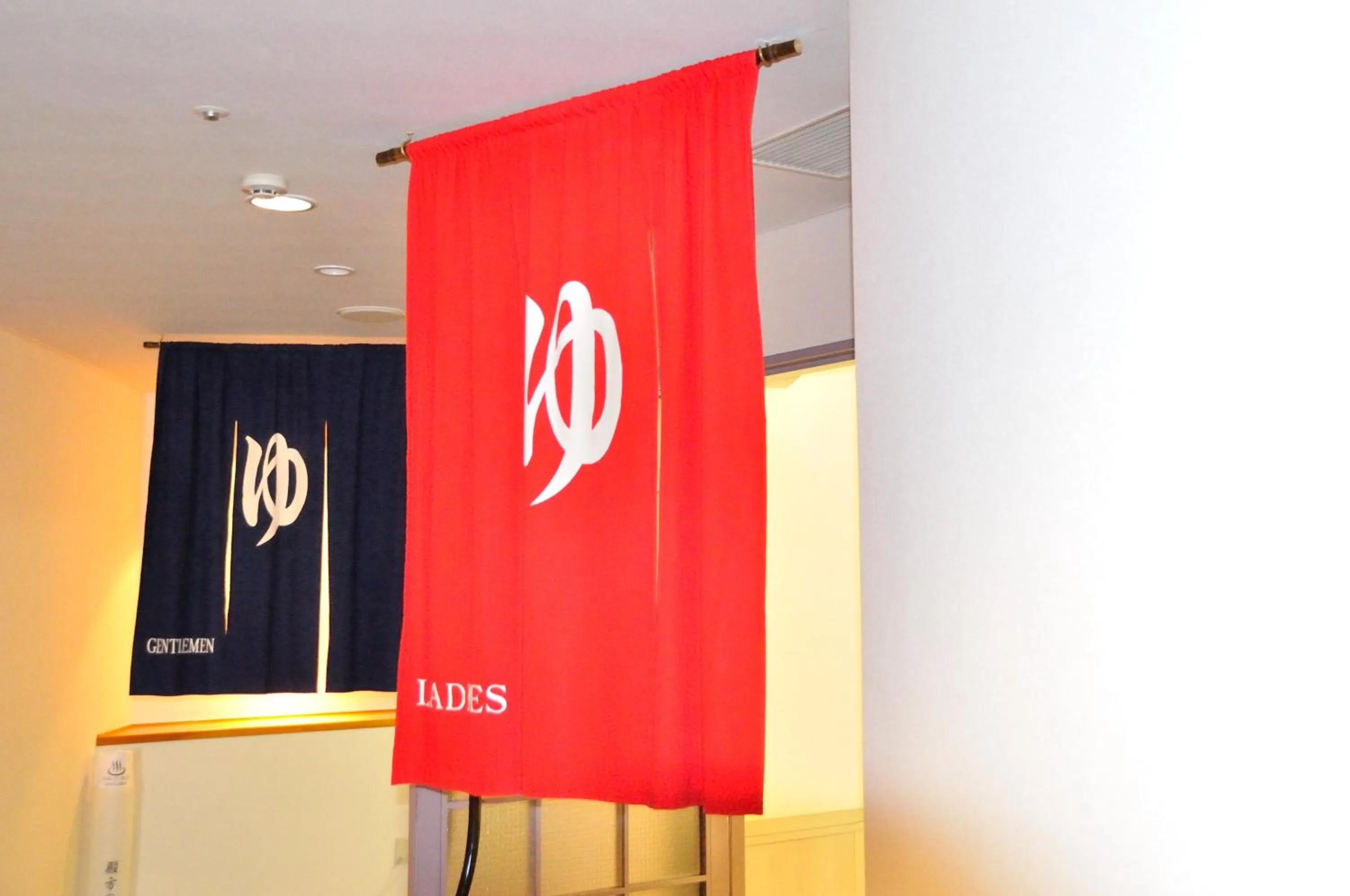 Hot Spring Bath in Tateyama Kokusai Hotel