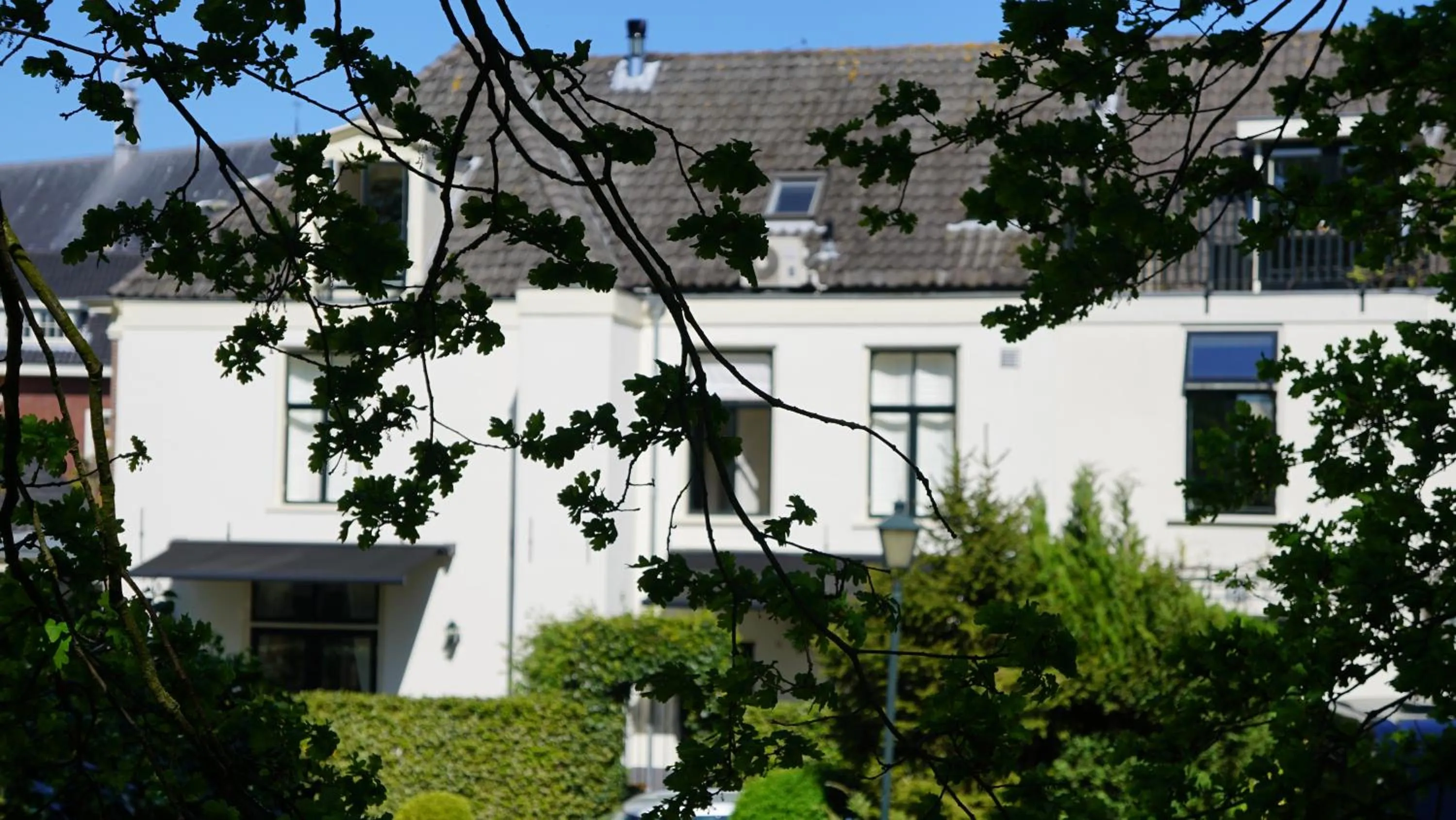 Spring in Room One-Twenty-One