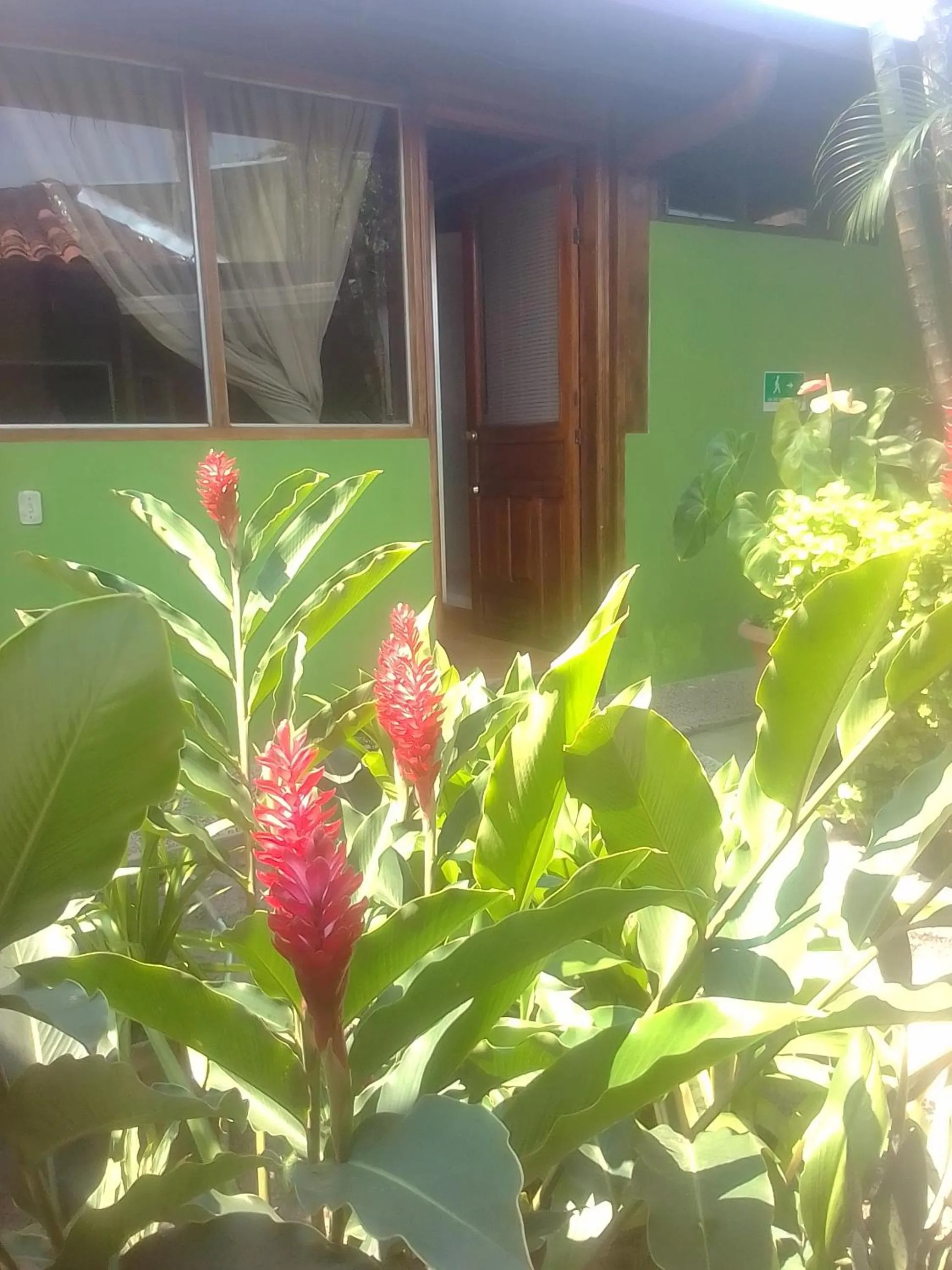 Garden in Hotel Santa Helena