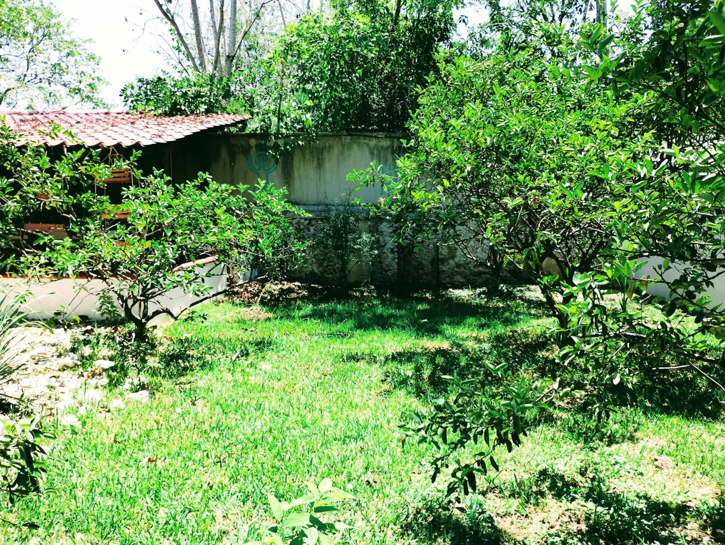 Garden in Hotel y Museo Aldea Maya Toktli Orígenes - All Village, Alberca, Wifi Starlink, Tour Museo