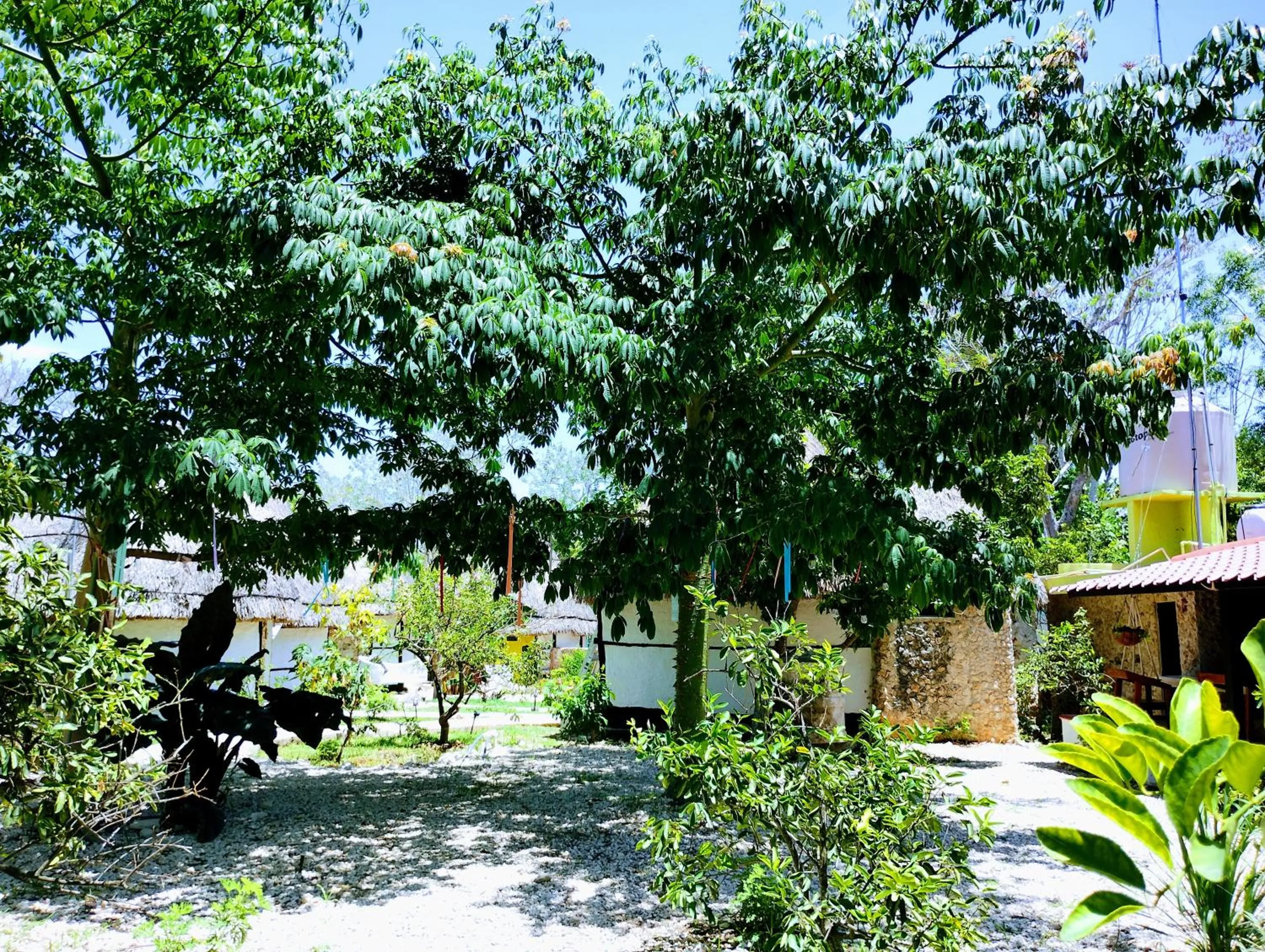 Hotel y Museo Aldea Maya Toktli Orígenes - All Village, Alberca, Wifi Starlink, Tour Museo