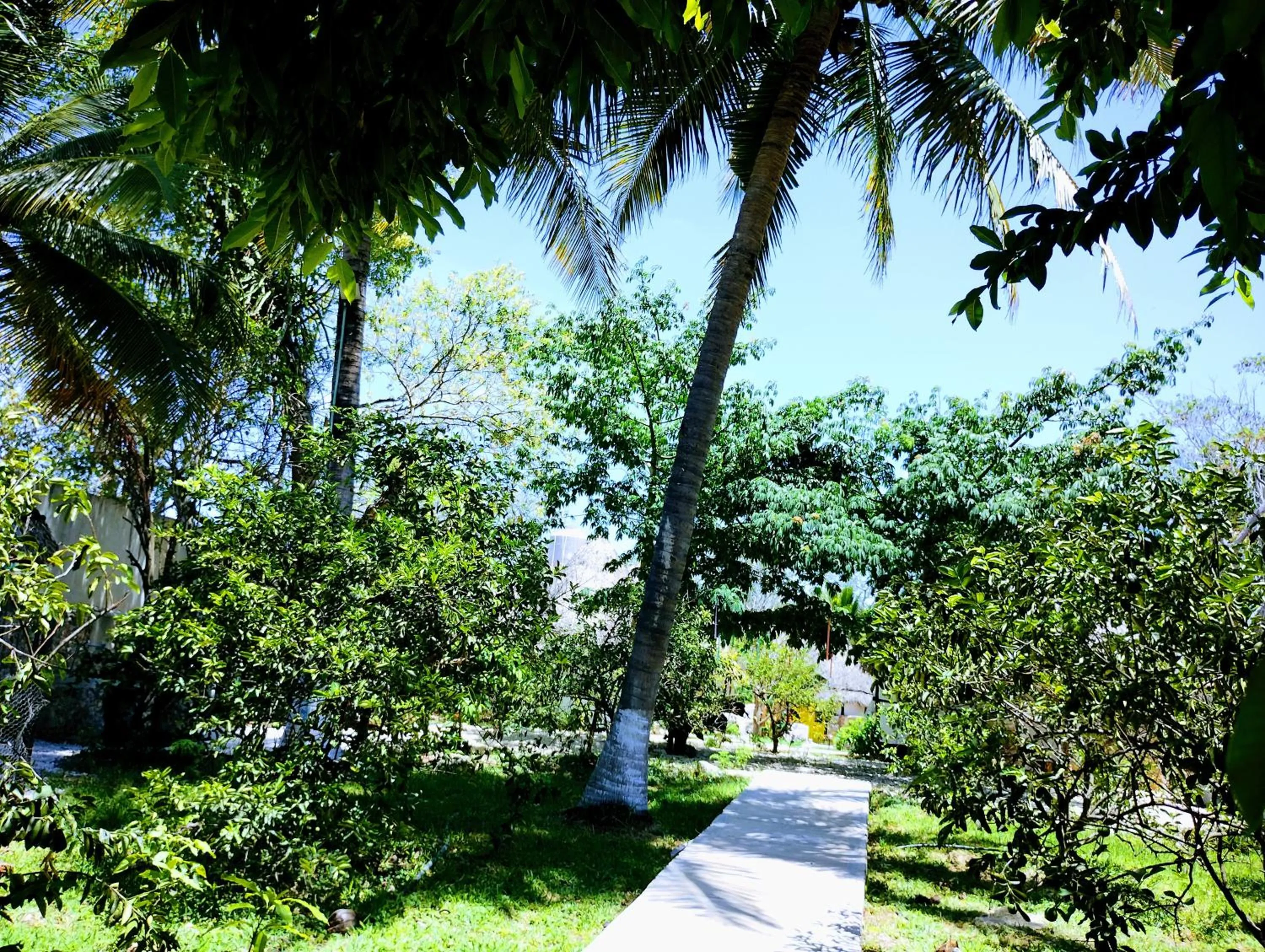 Garden in Hotel y Museo Aldea Maya Toktli Orígenes - All Village, Alberca, Wifi Starlink, Tour Museo