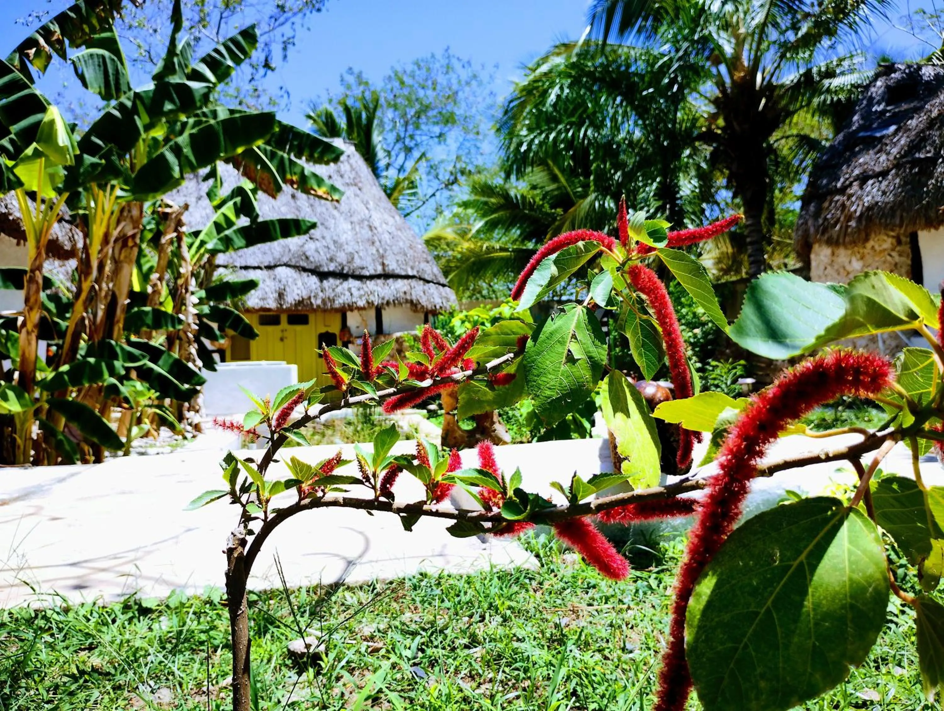 Hotel y Museo Aldea Maya Toktli Orígenes - All Village, Alberca, Wifi Starlink, Tour Museo