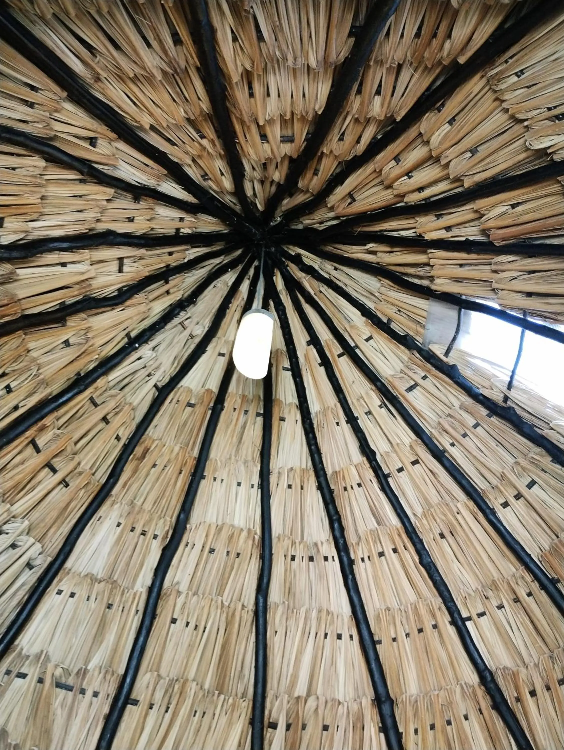 Hotel y Museo Aldea Maya Toktli Orígenes - All Village, Alberca, Wifi Starlink, Tour Museo