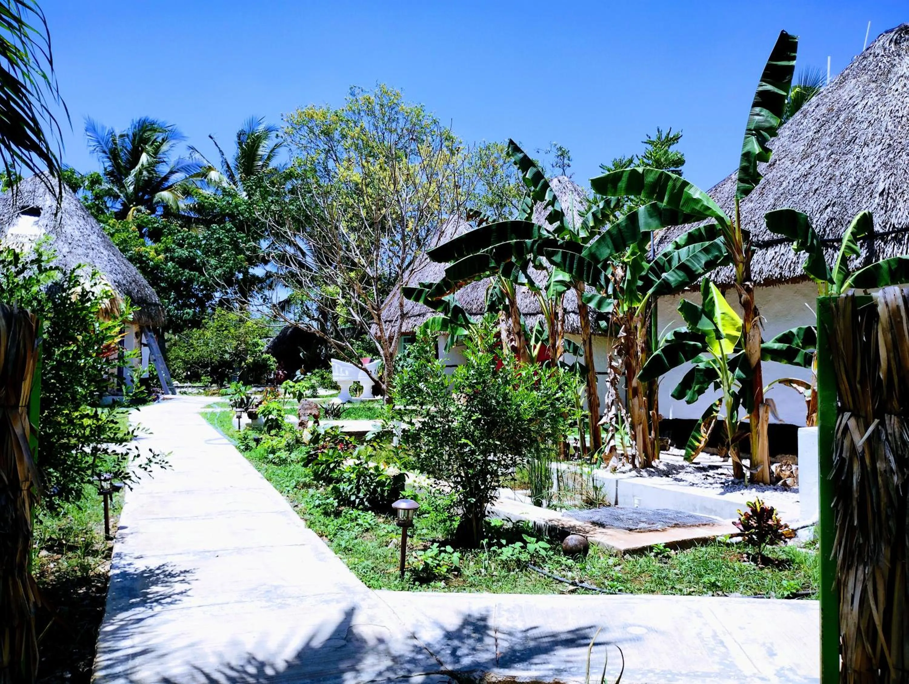 Garden in Hotel y Museo Aldea Maya Toktli Orígenes - All Village, Alberca, Wifi Starlink, Tour Museo