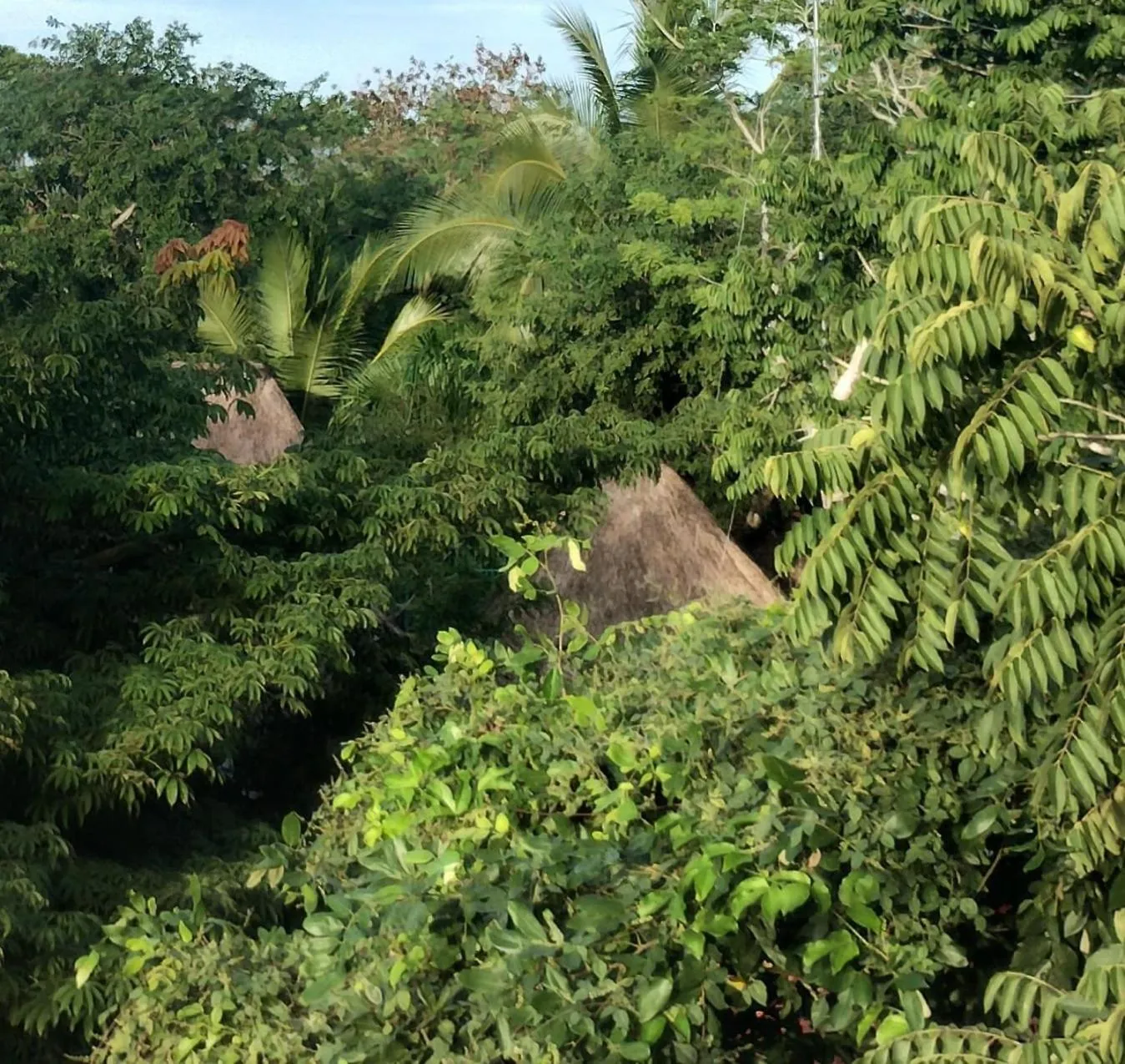 Hotel y Museo Aldea Maya Toktli Orígenes - All Village, Alberca, Wifi Starlink, Tour Museo