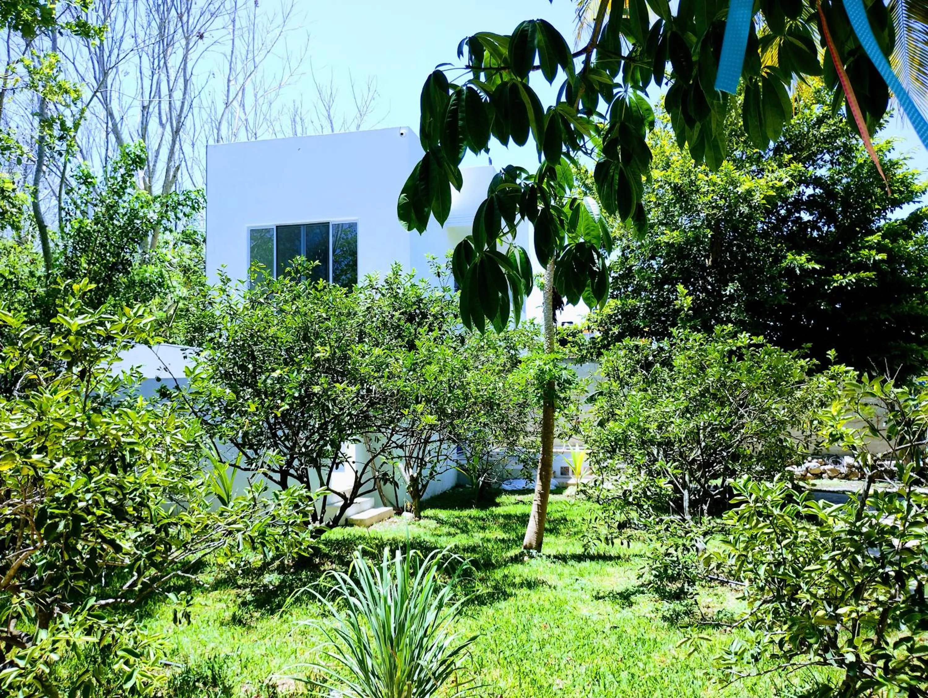 Garden in Hotel y Museo Aldea Maya Toktli Orígenes - All Village, Alberca, Wifi Starlink, Tour Museo