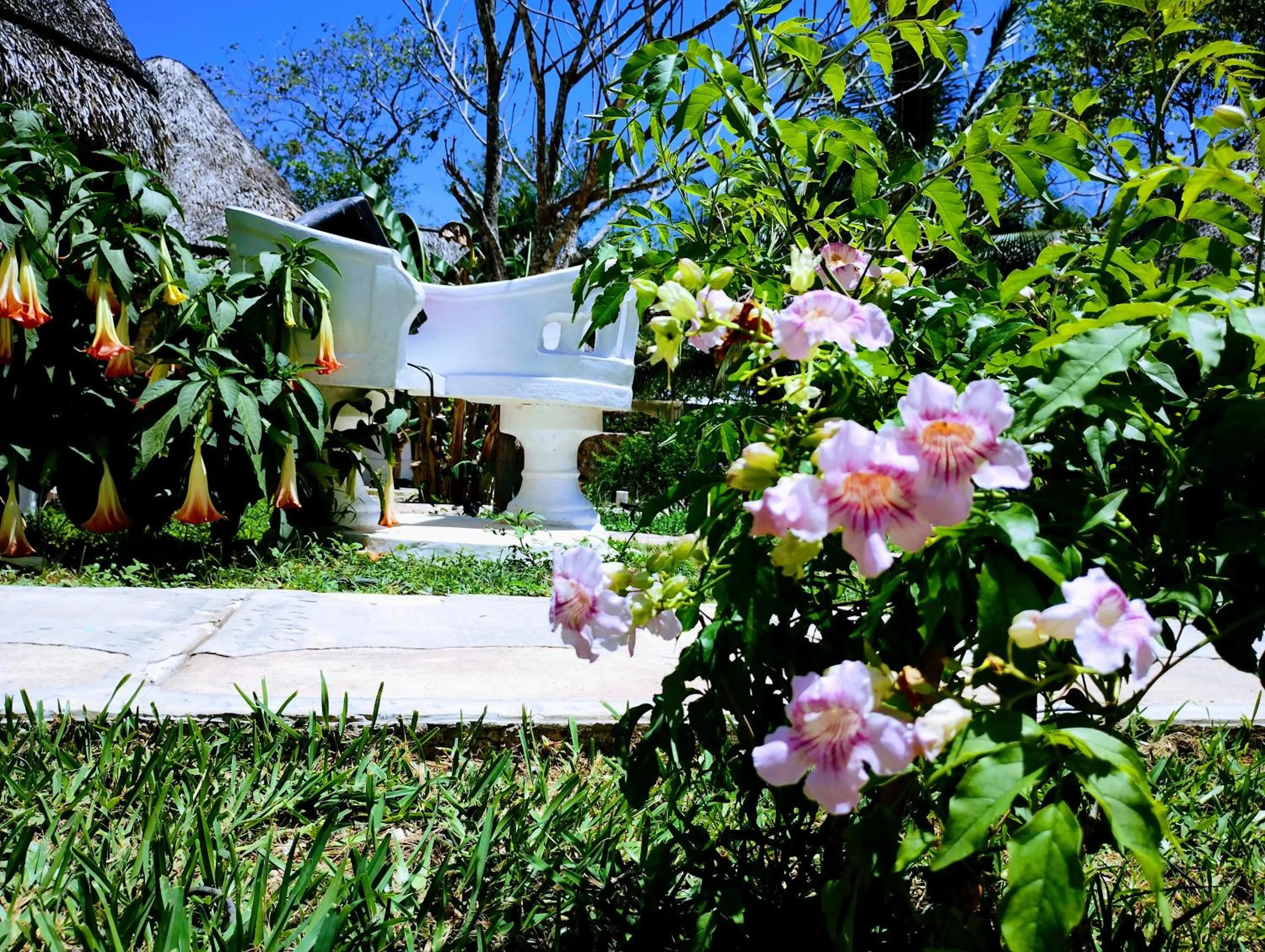 Garden in Hotel y Museo Aldea Maya Toktli Orígenes - All Village, Alberca, Wifi Starlink, Tour Museo