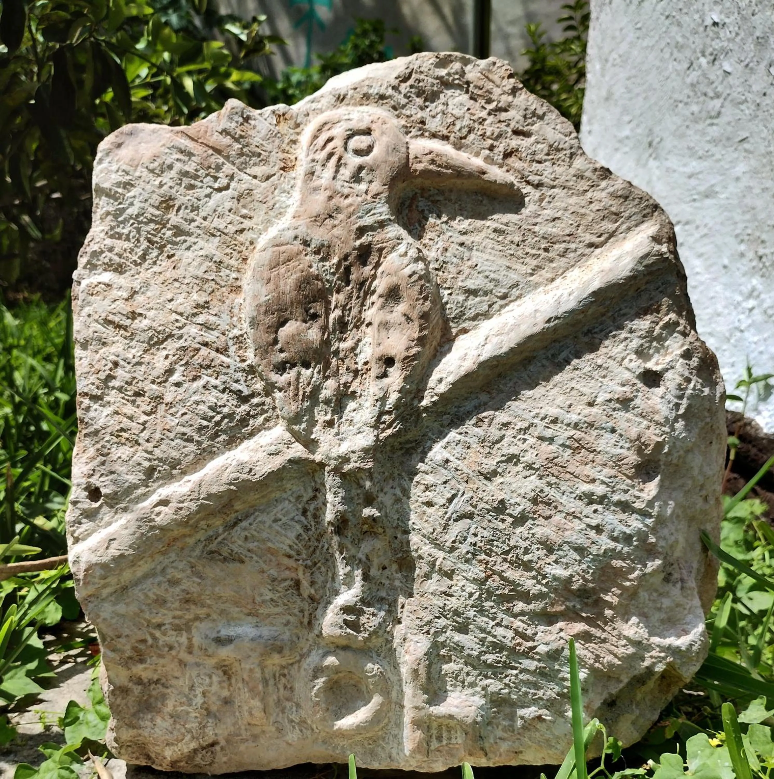 Hotel y Museo Aldea Maya Toktli Orígenes - All Village, Alberca, Wifi Starlink, Tour Museo