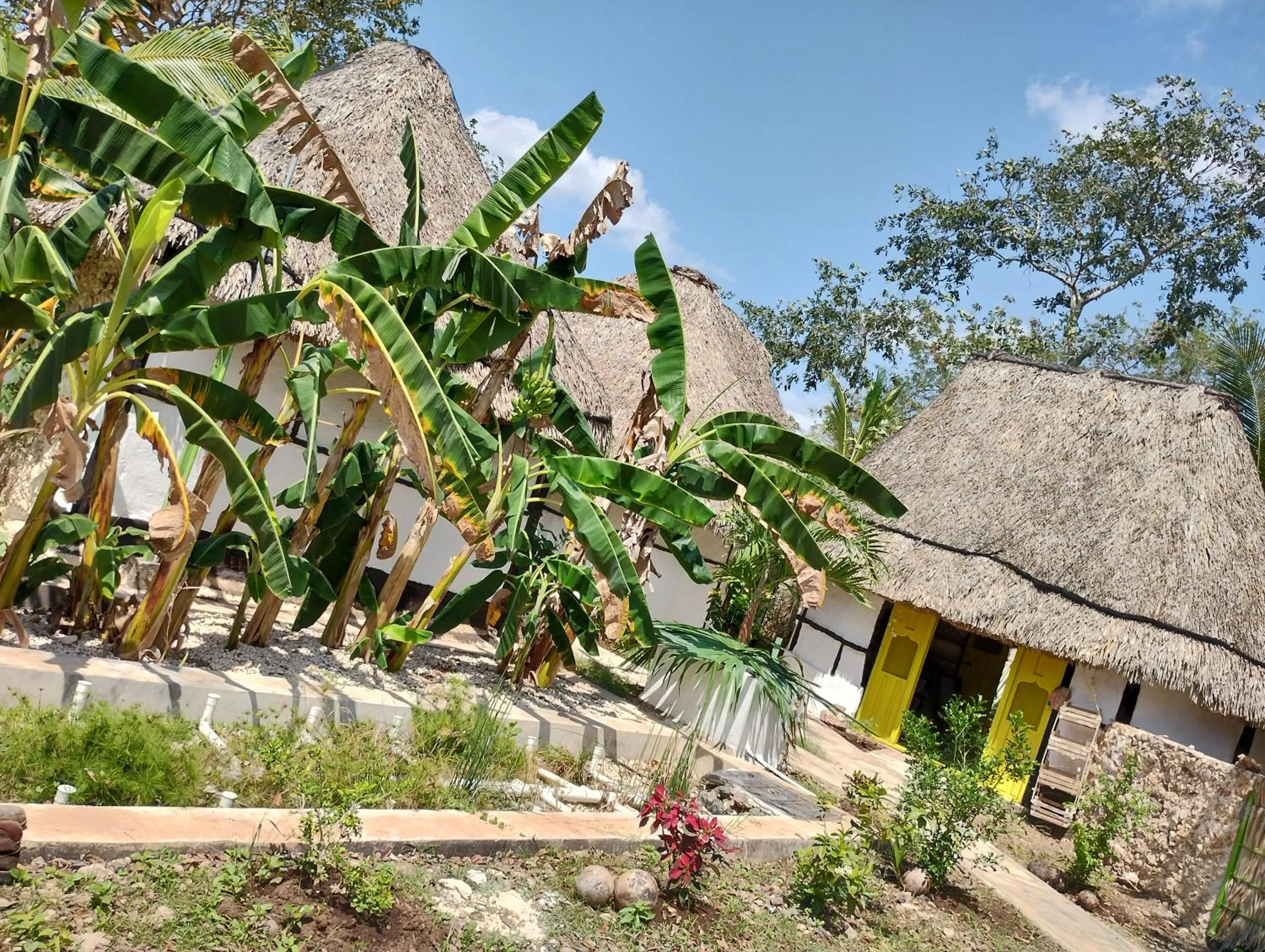 Hotel y Museo Aldea Maya Toktli Orígenes - All Village, Alberca, Wifi Starlink, Tour Museo