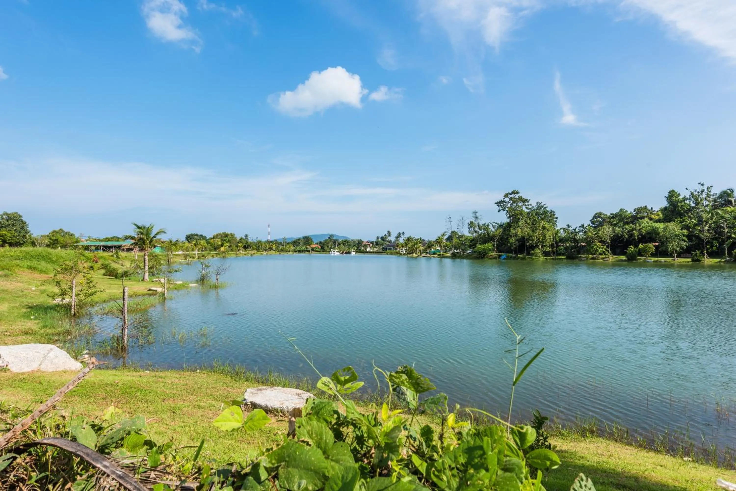 Day in Chalong Miracle Lakeview