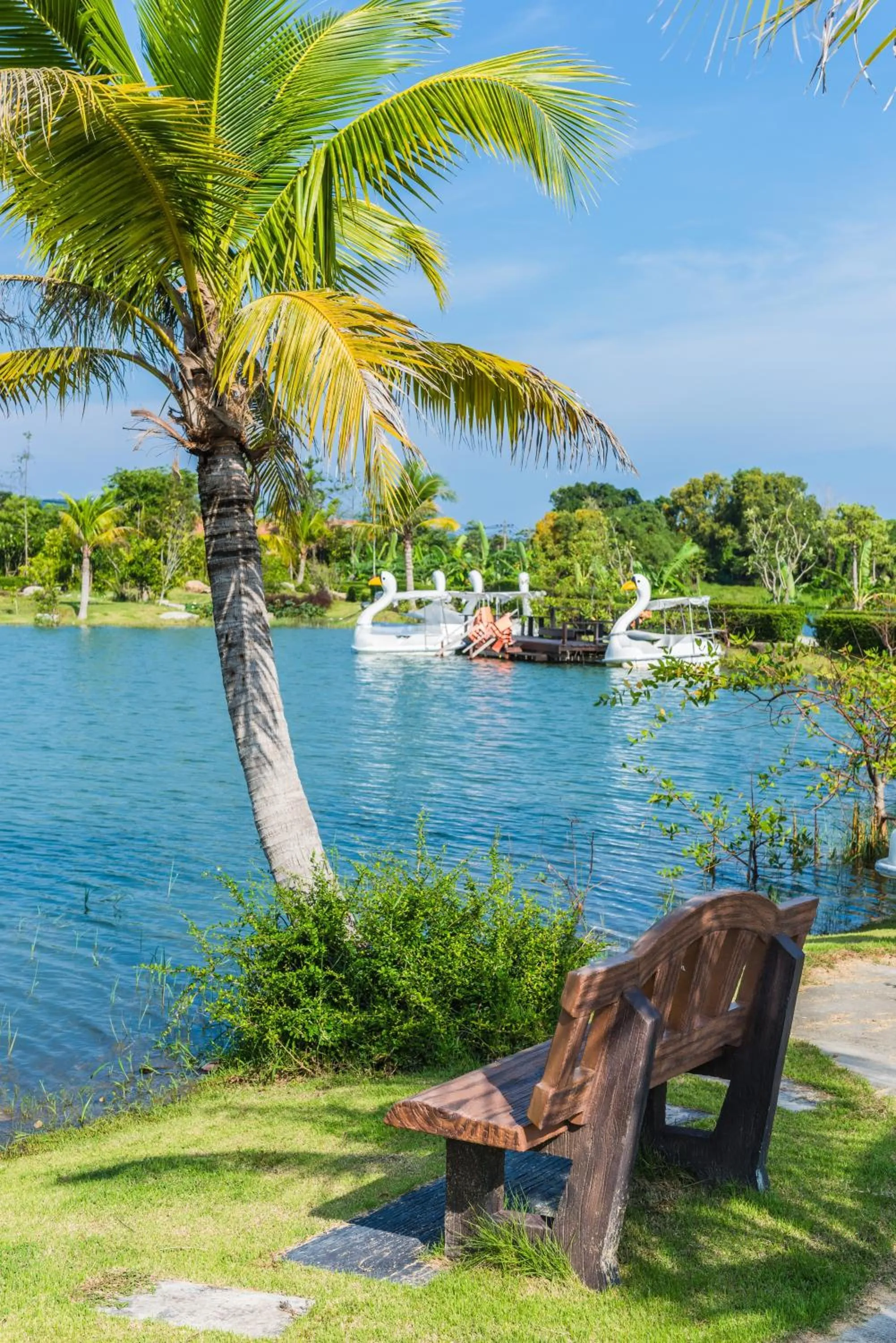 Natural landscape in Chalong Miracle Lakeview