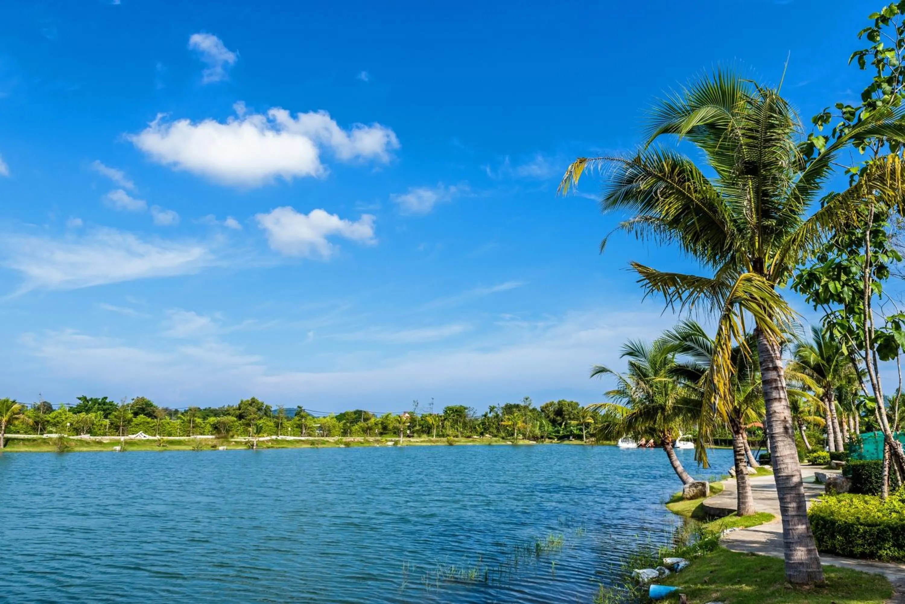 Natural landscape in Chalong Miracle Lakeview