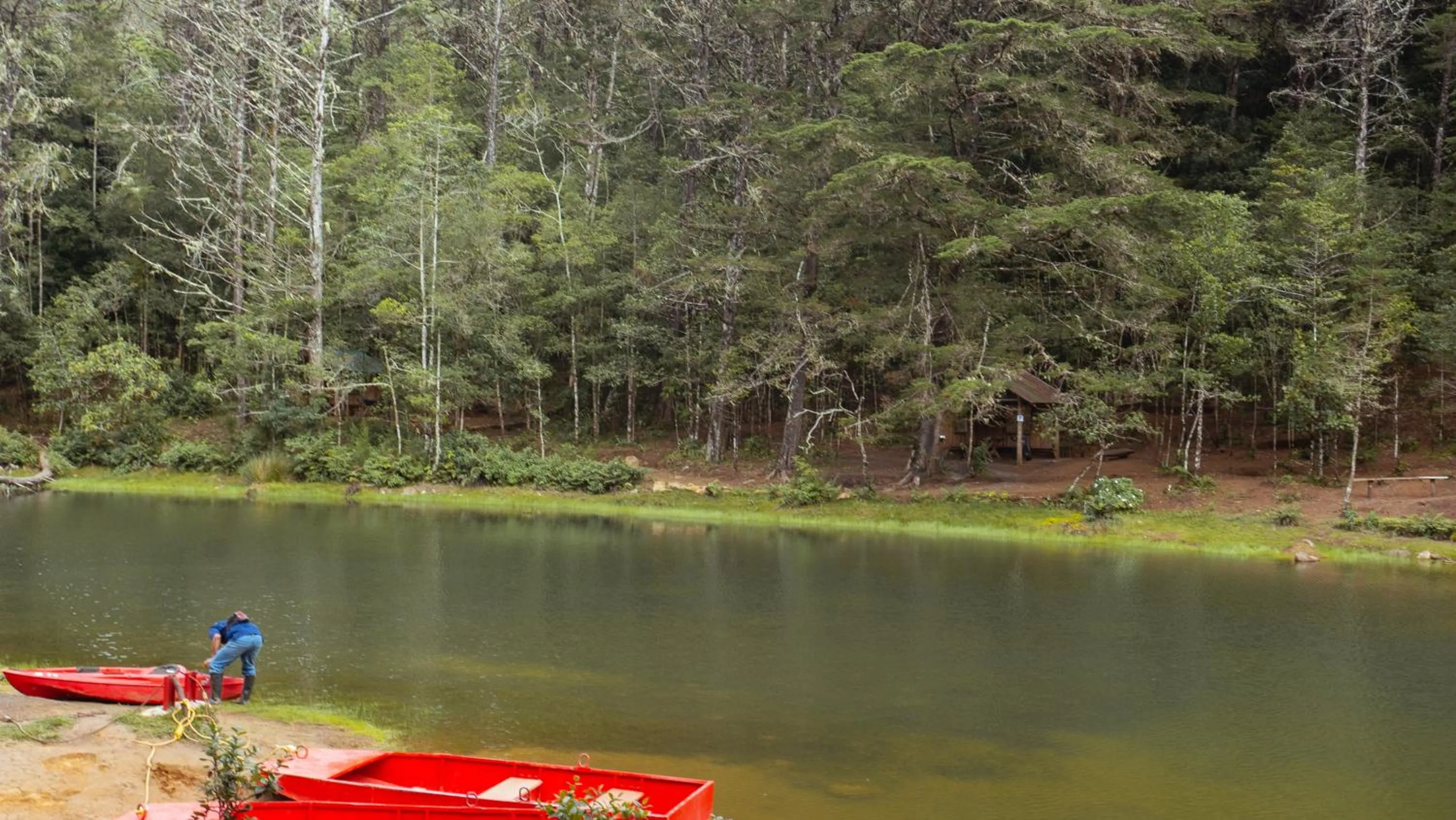 Natural landscape in Hacienda La Lucha