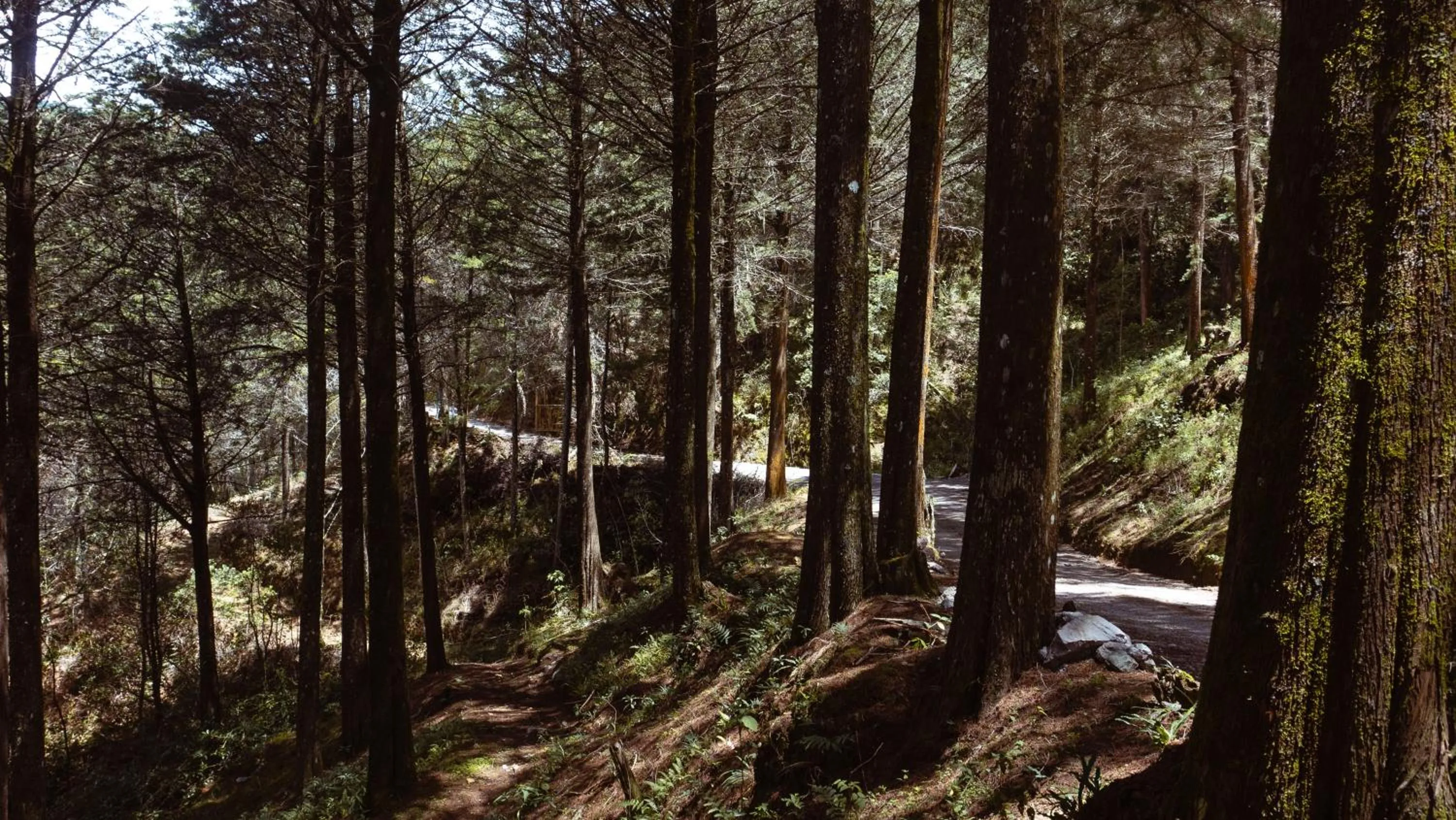 Facade/entrance in Hacienda La Lucha