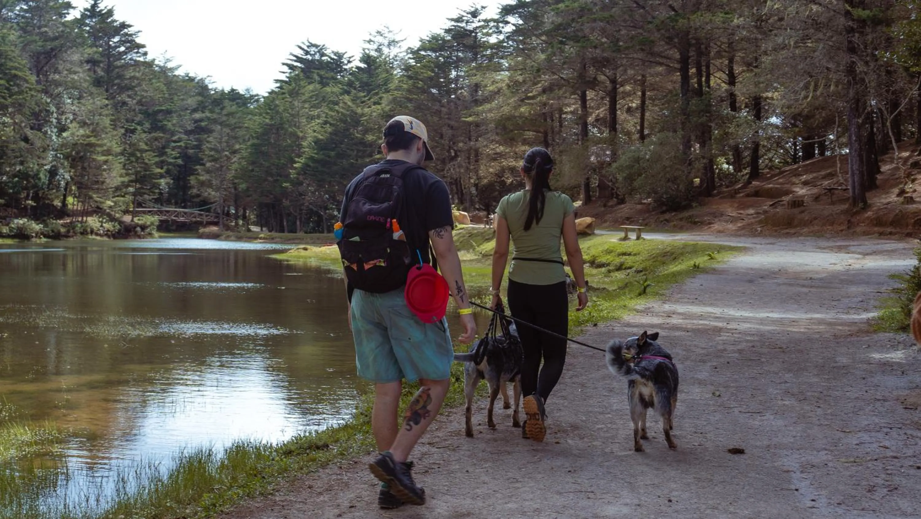 Natural landscape in Hacienda La Lucha