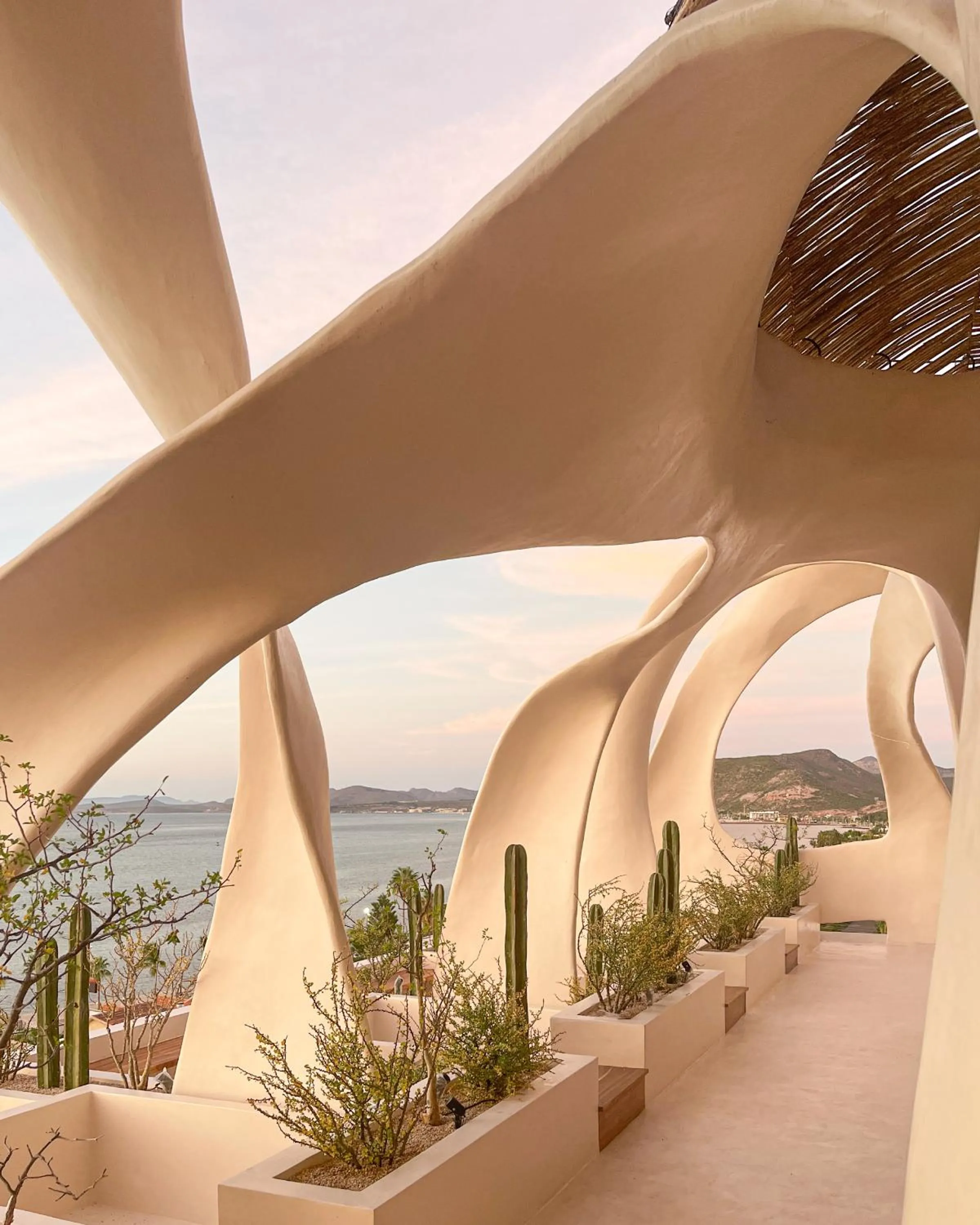 Restaurant/places to eat in Republica Pagana